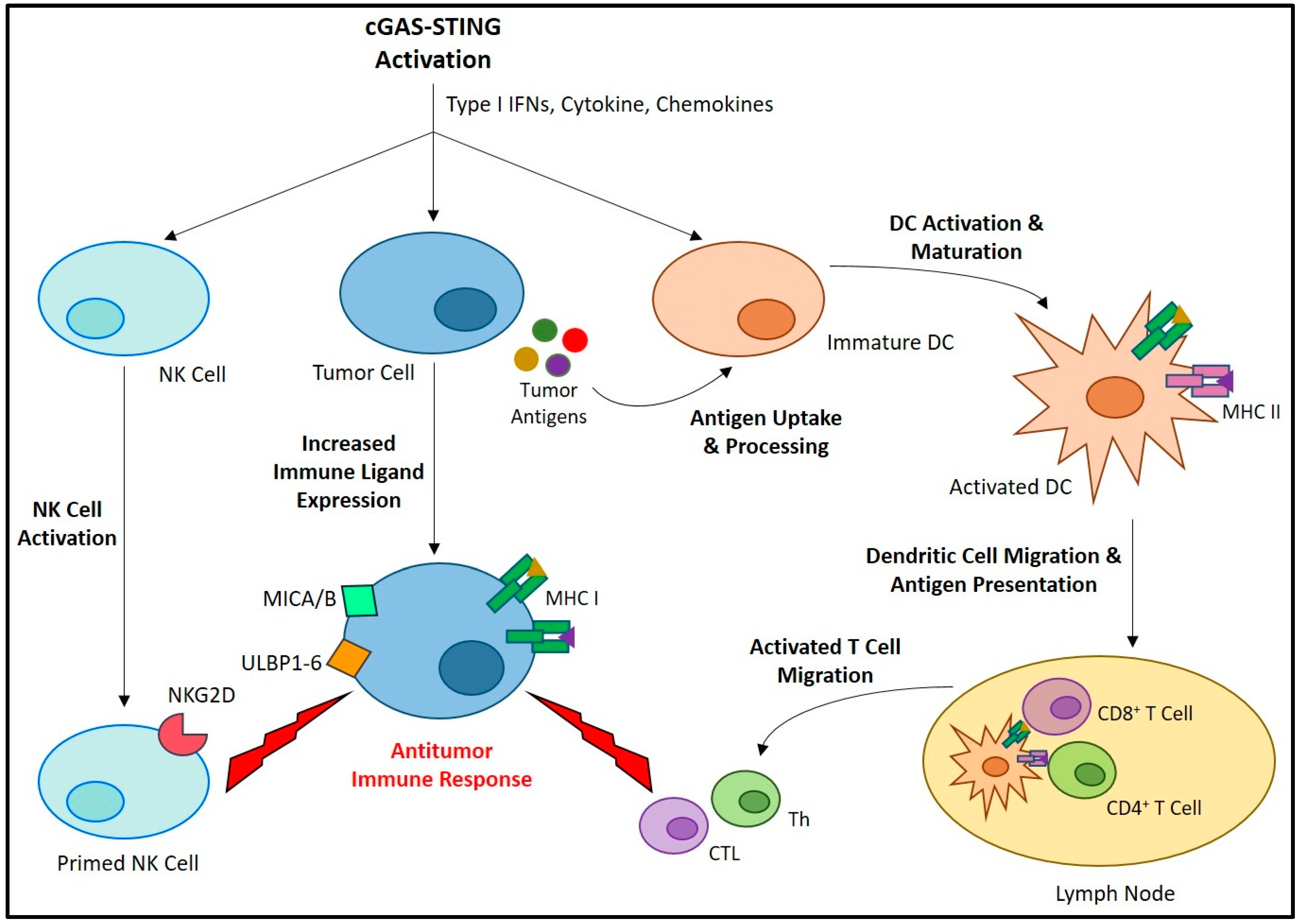 Cancers 15 04127 g002