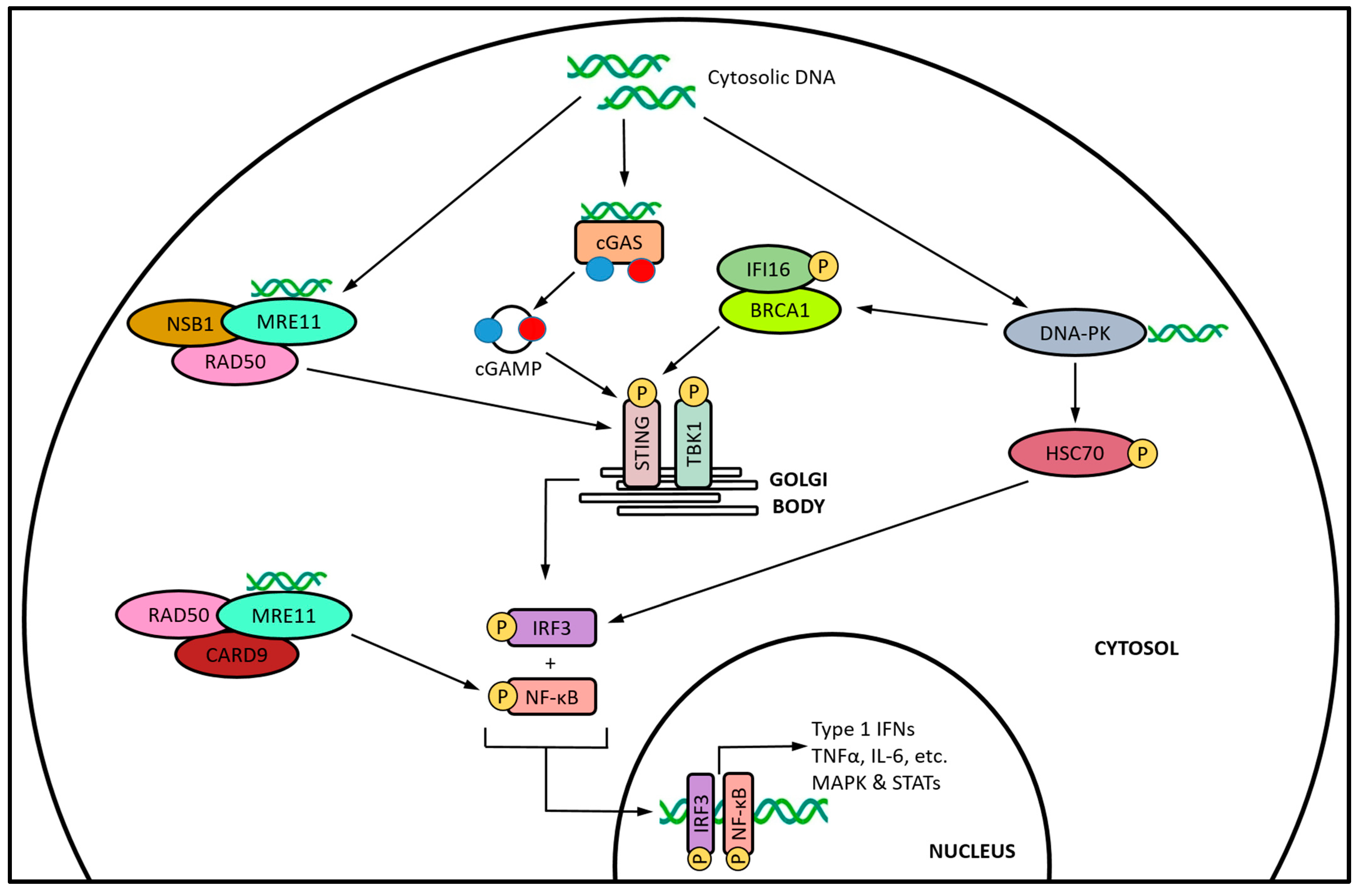Cancers 15 04127 g003