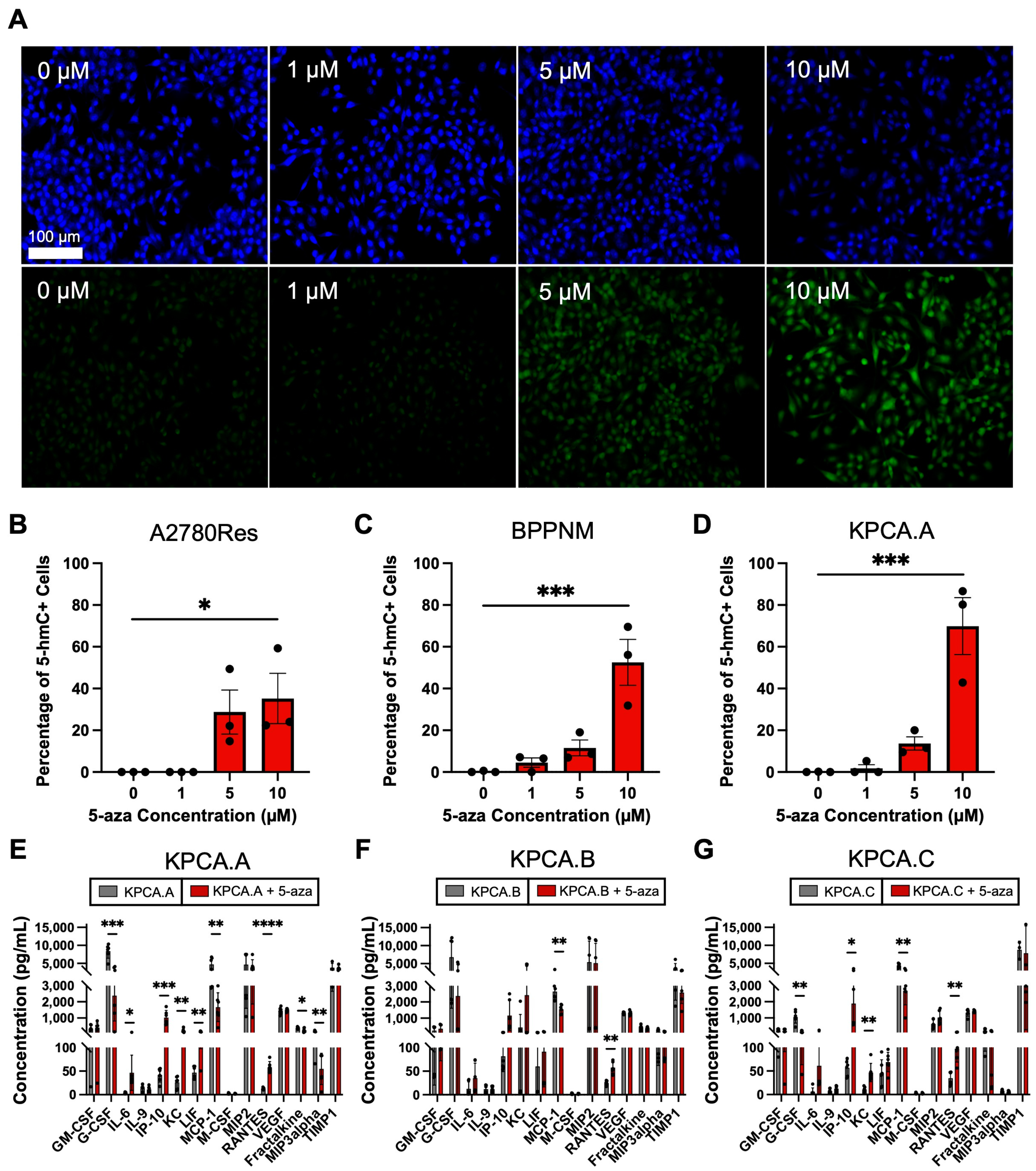 Cancers 15 04128 g002