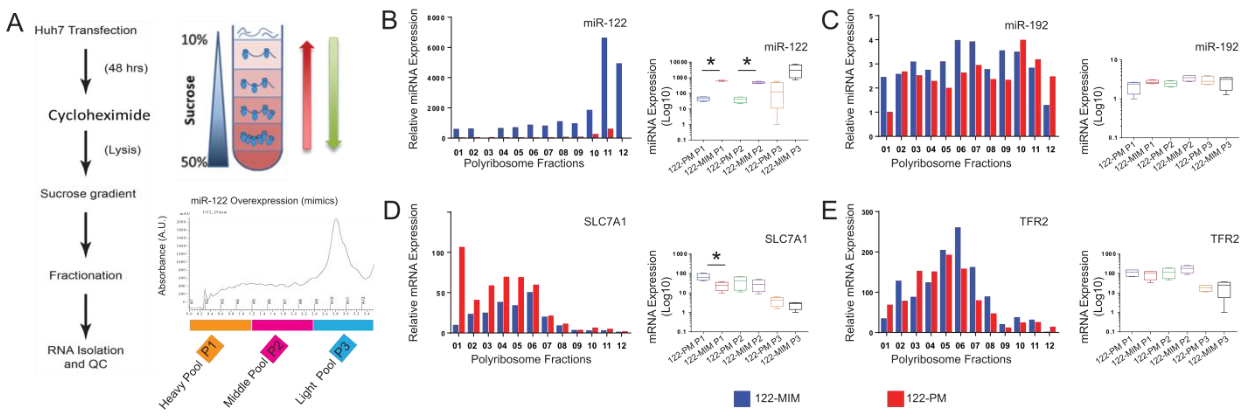 Cancers 15 04129 g001 Cancers 15 04129 g001