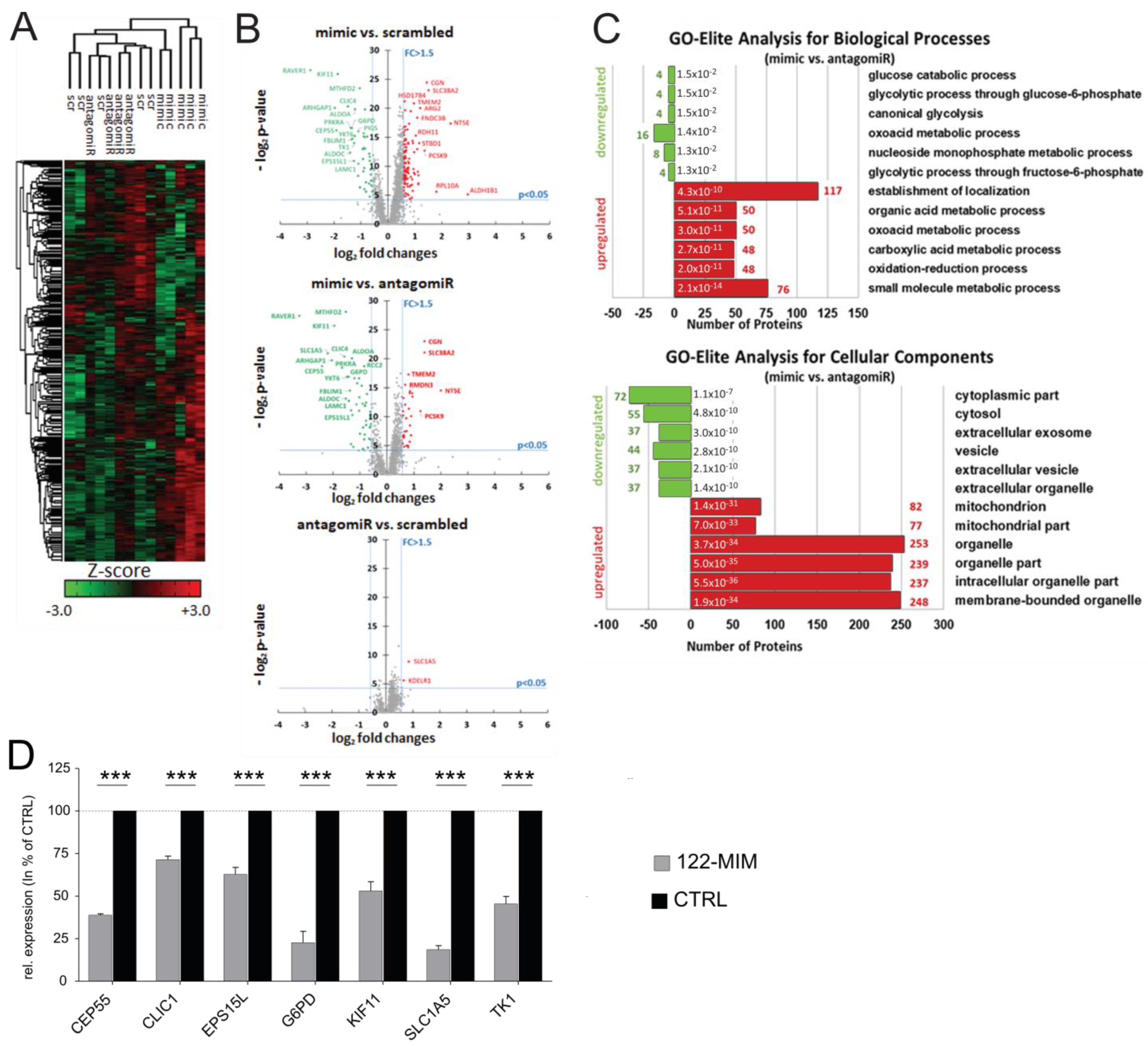 Cancers 15 04129 g004 Cancers 15 04129 g004