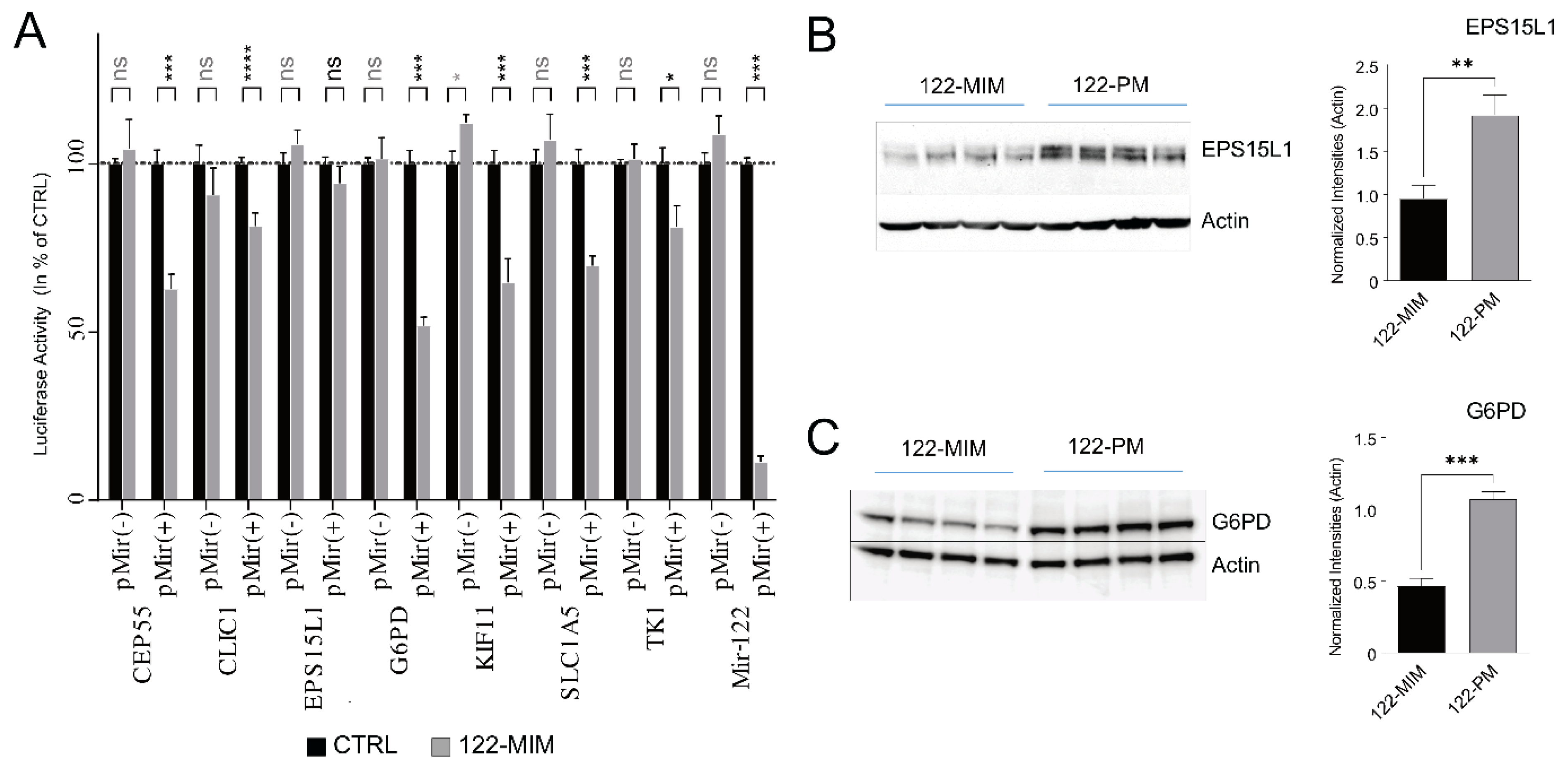Cancers 15 04129 g005 Cancers 15 04129 g005