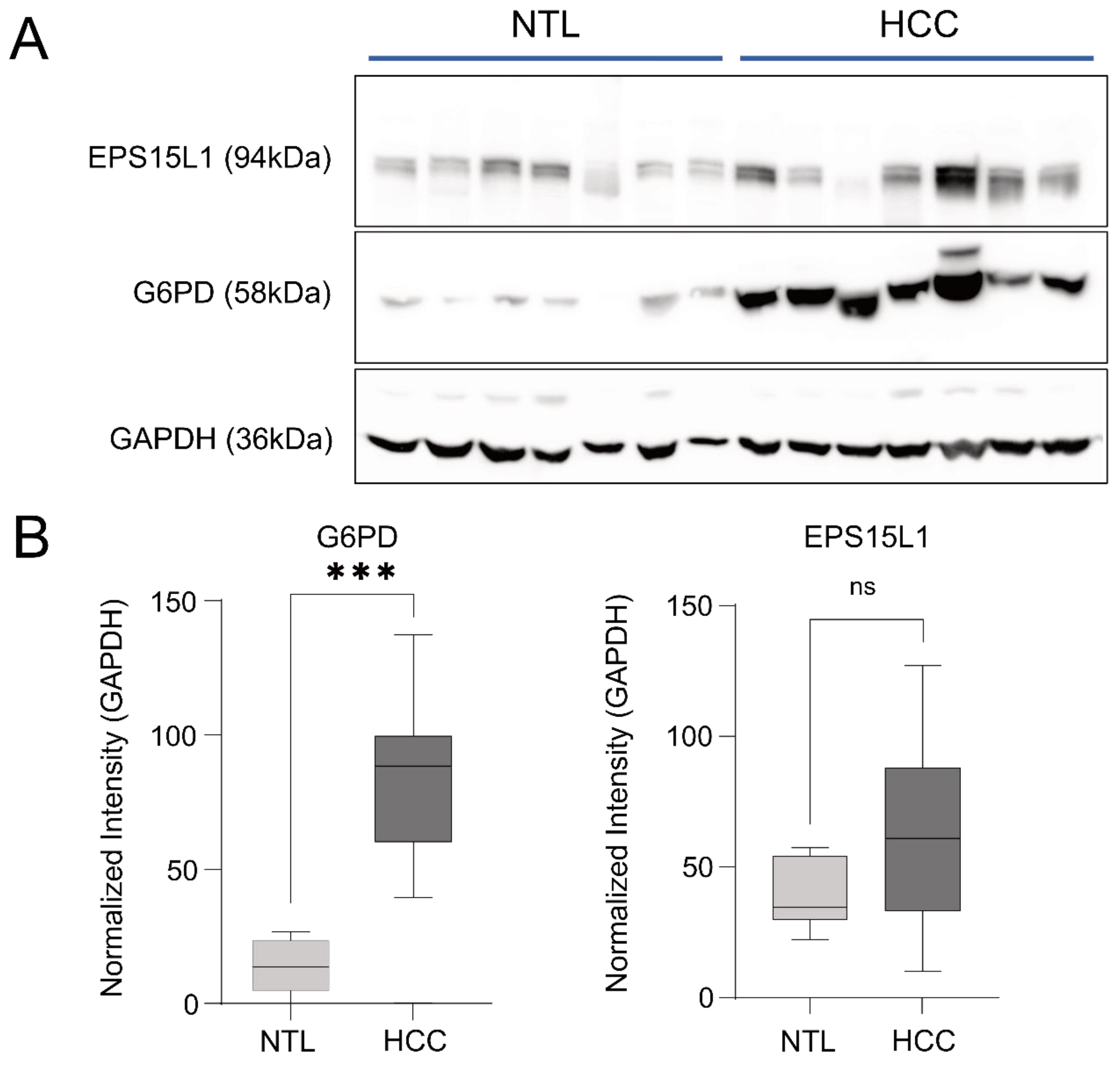 Cancers 15 04129 g006 Cancers 15 04129 g006