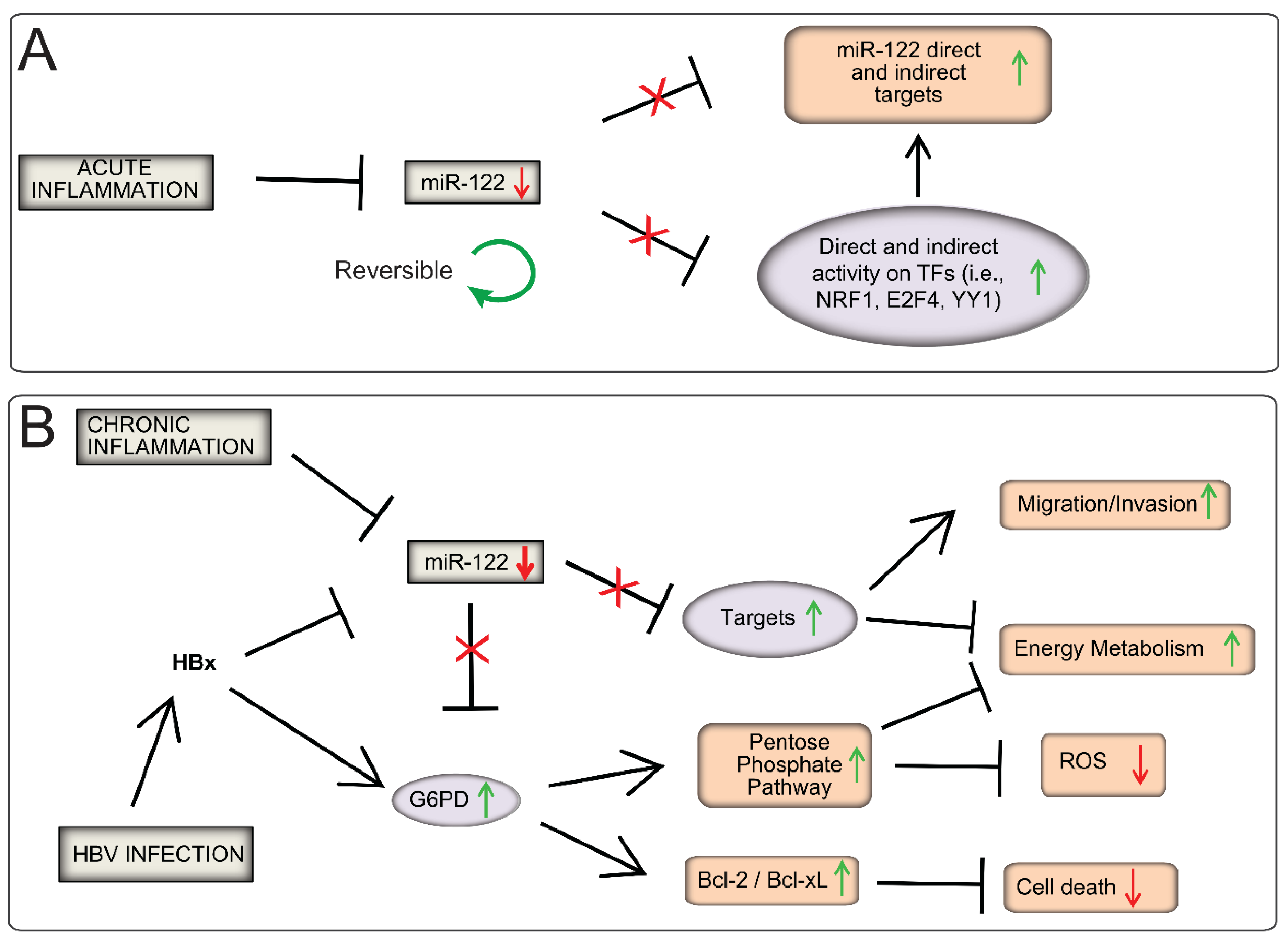 Cancers 15 04129 g008 Cancers 15 04129 g008