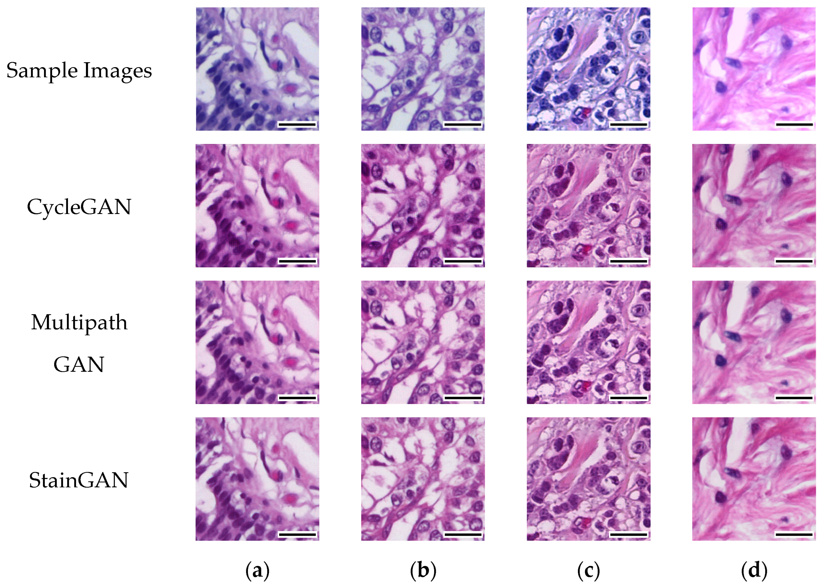 Cancers 15 04144 g003