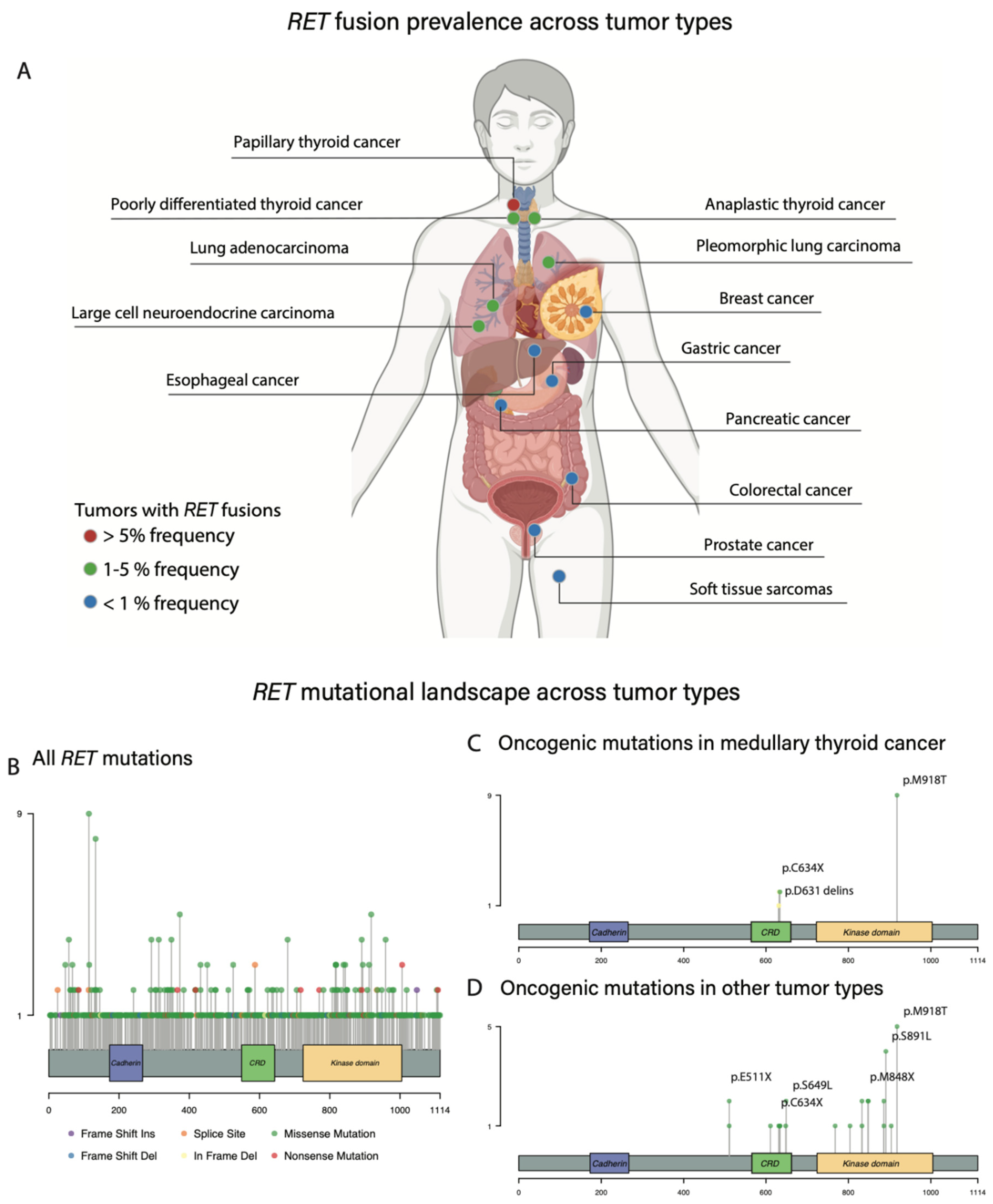 Cancers 15 04146 g002