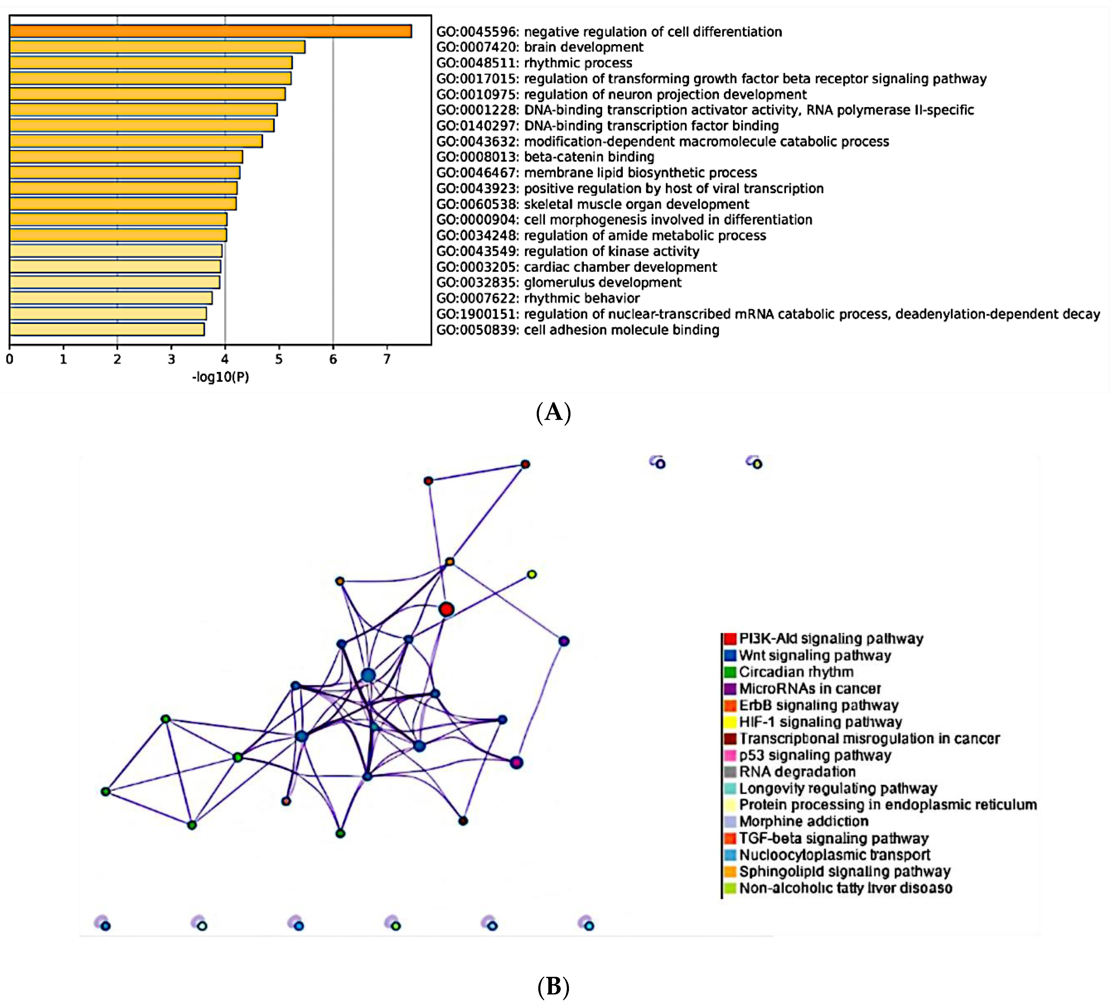 Cancers 15 04148 g006