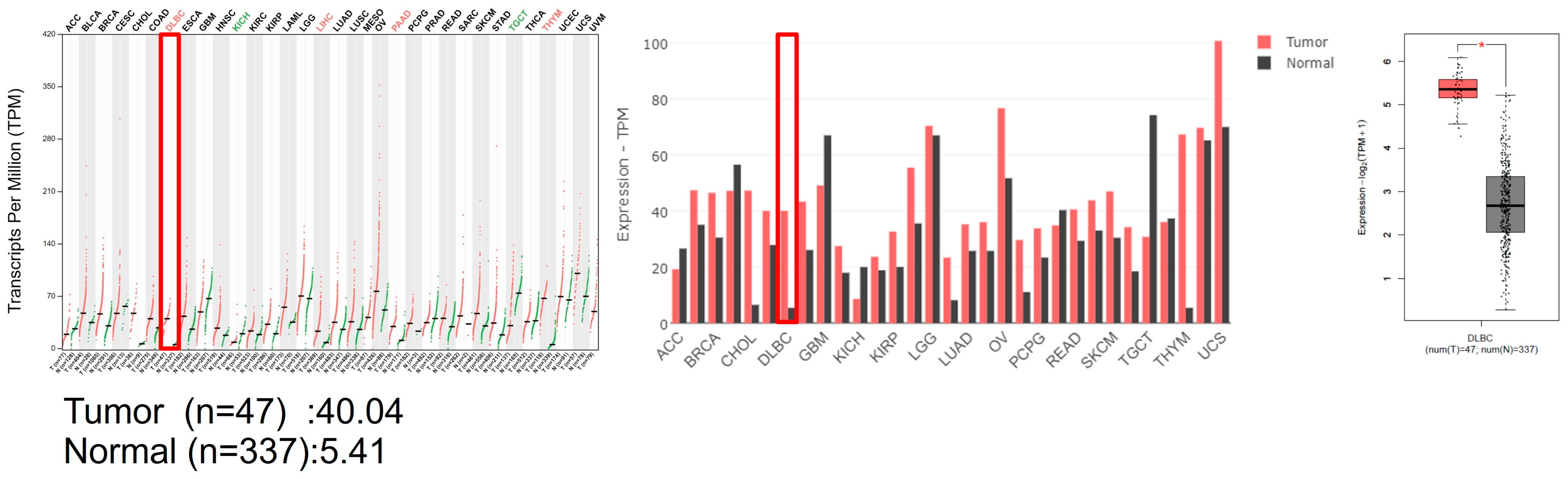 Cancers 15 04150 g001 Cancers 15 04150 g001