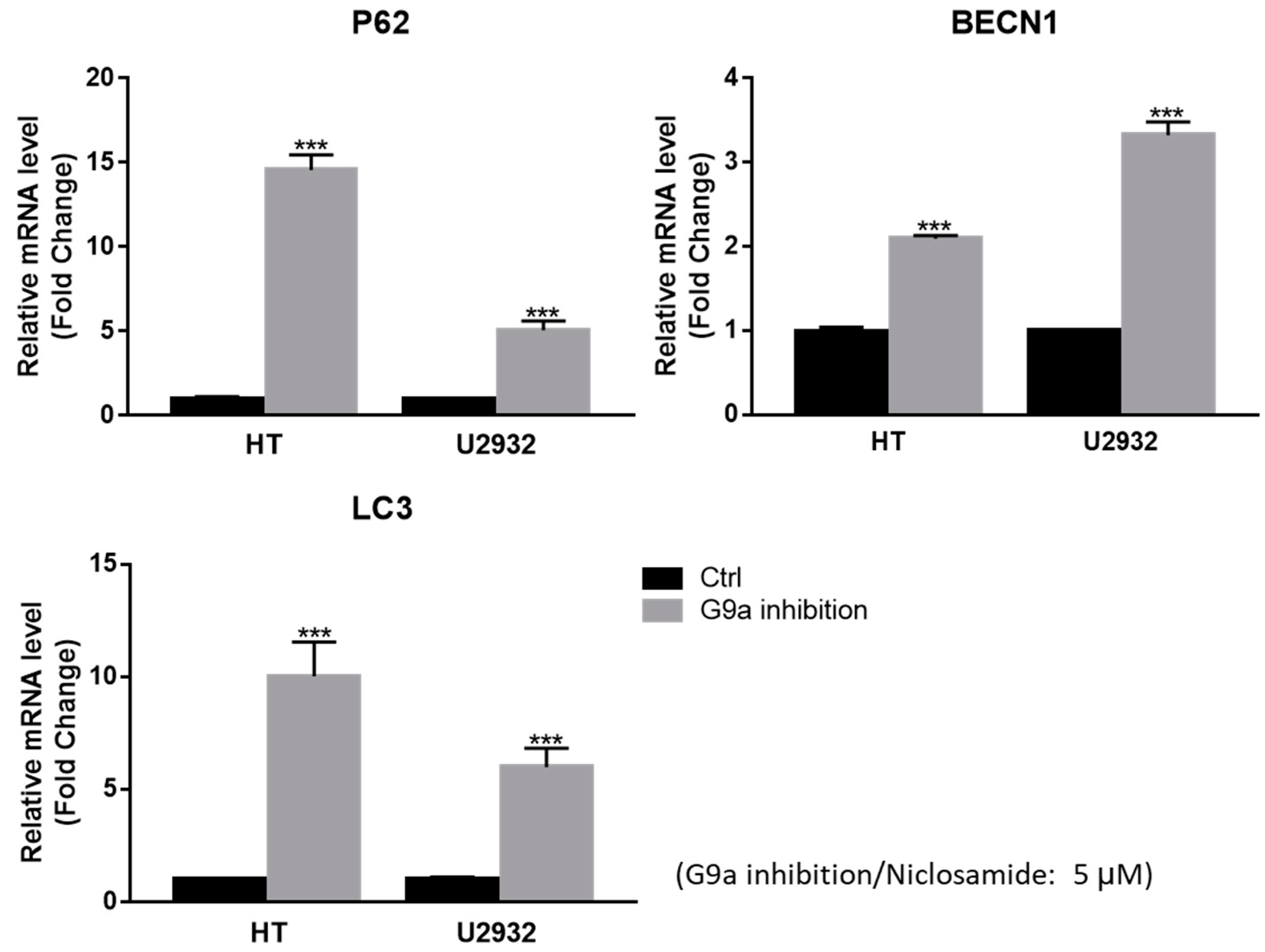 Cancers 15 04150 g004 Cancers 15 04150 g004