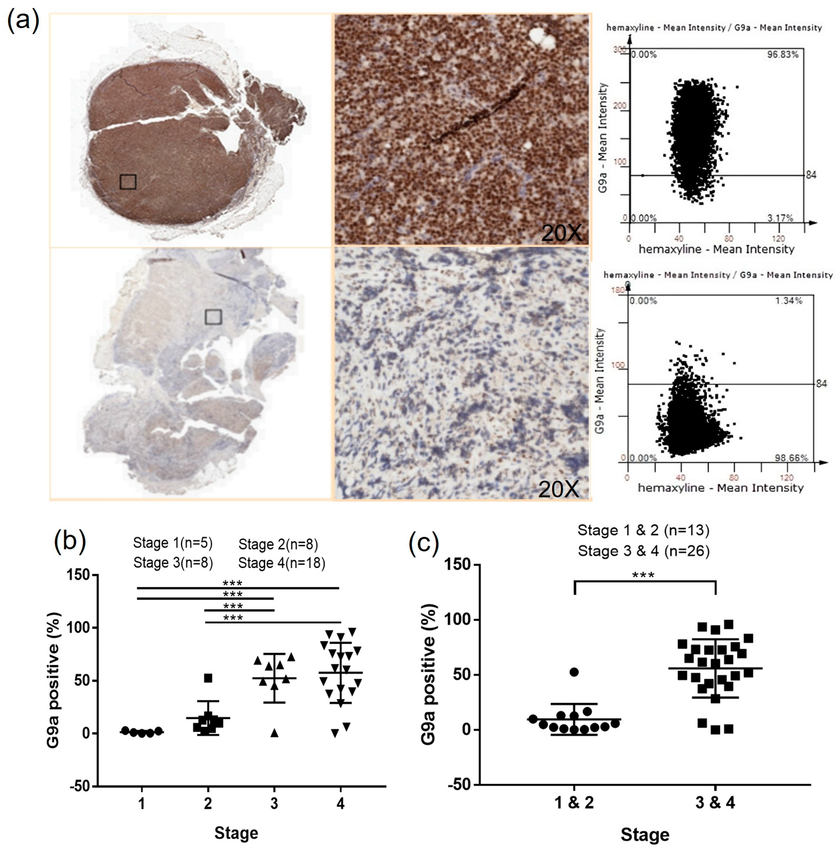Cancers 15 04150 g005 Cancers 15 04150 g005