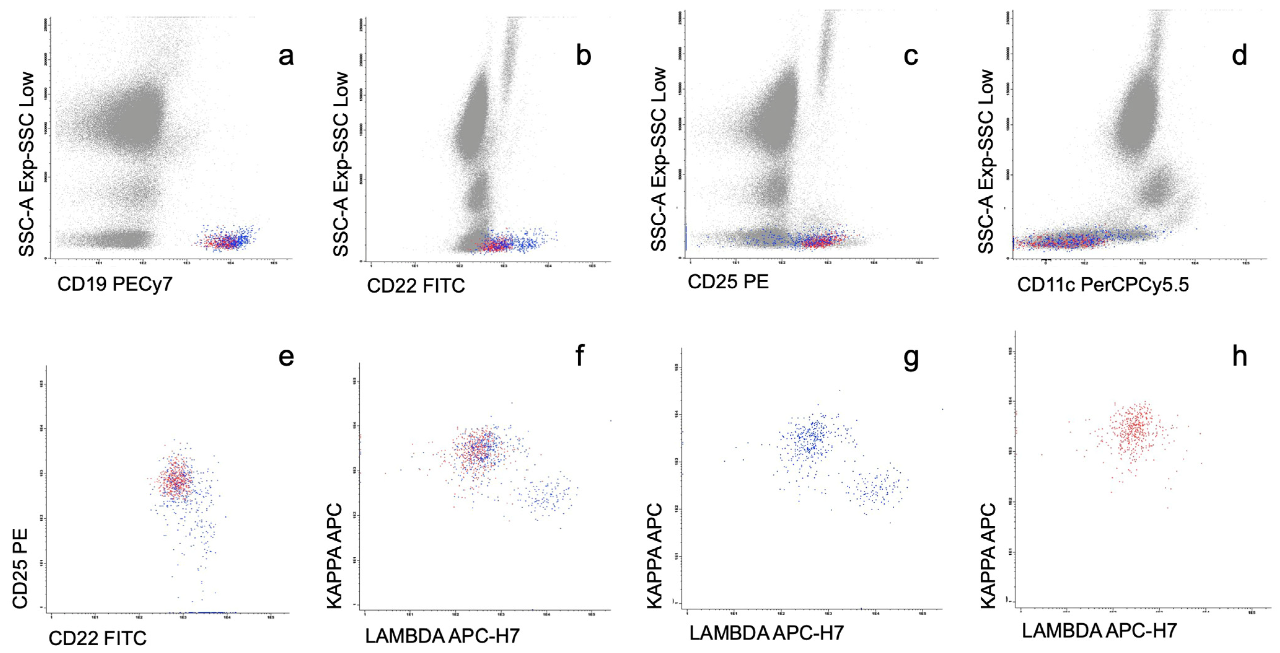 Cancers 15 04152 g006