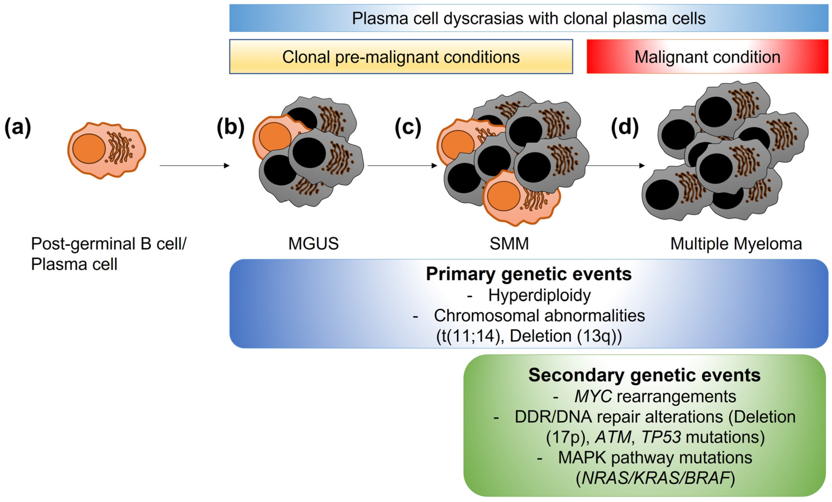 Cancers 15 04155 g001 Cancers 15 04155 g001