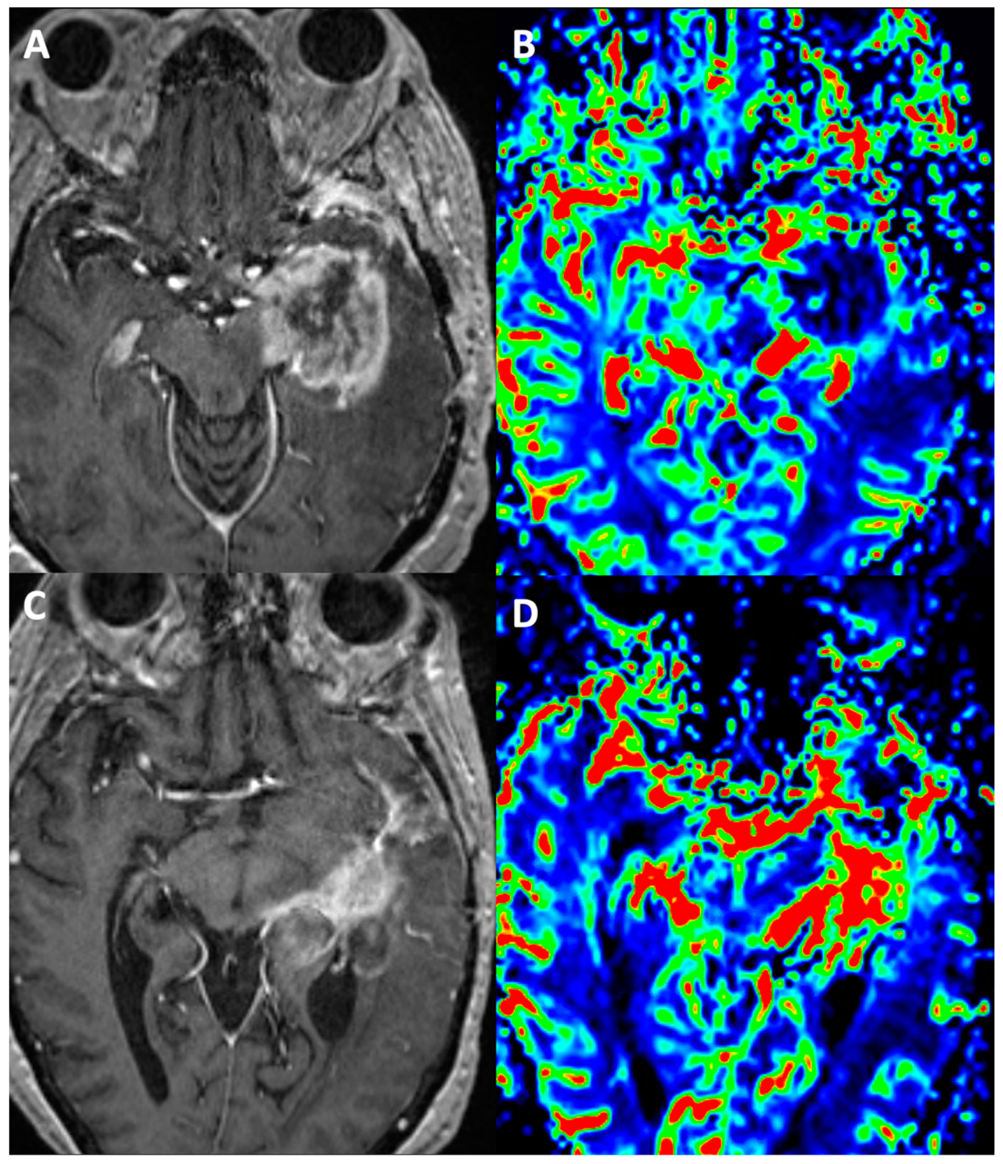 Cancers 15 04162 g002