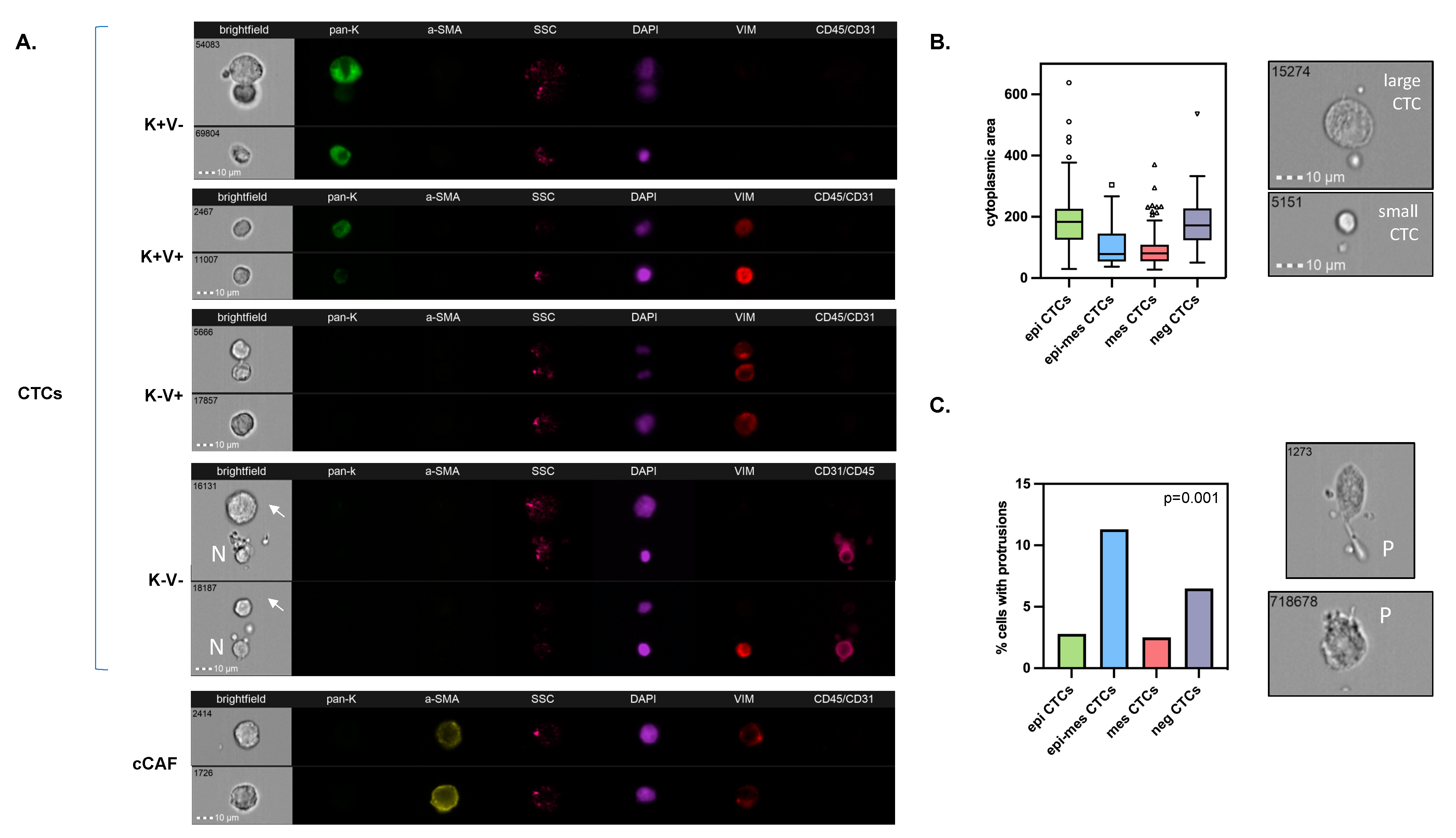Cancers 15 04169 g001