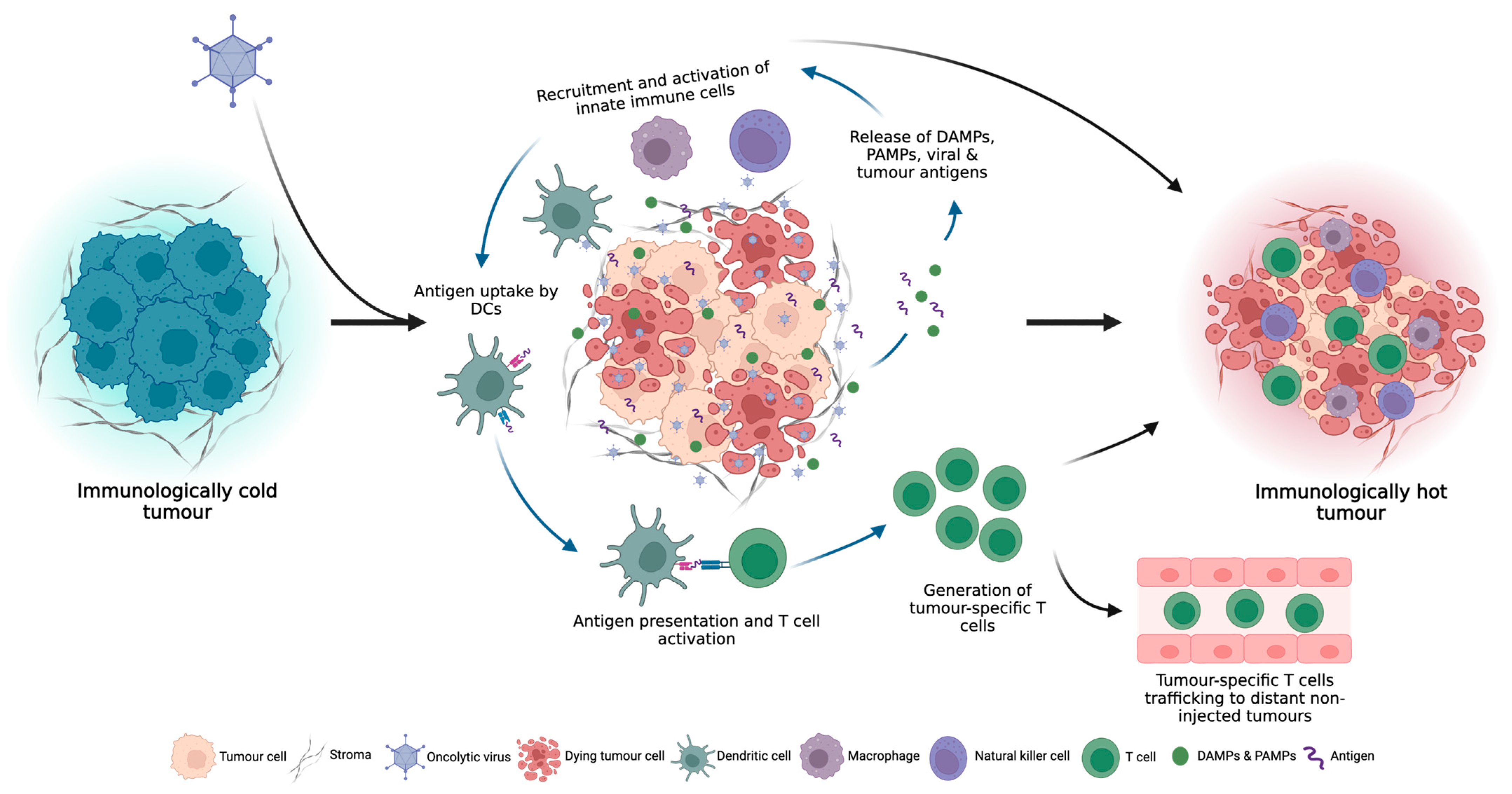 Cancers 15 04178 g002