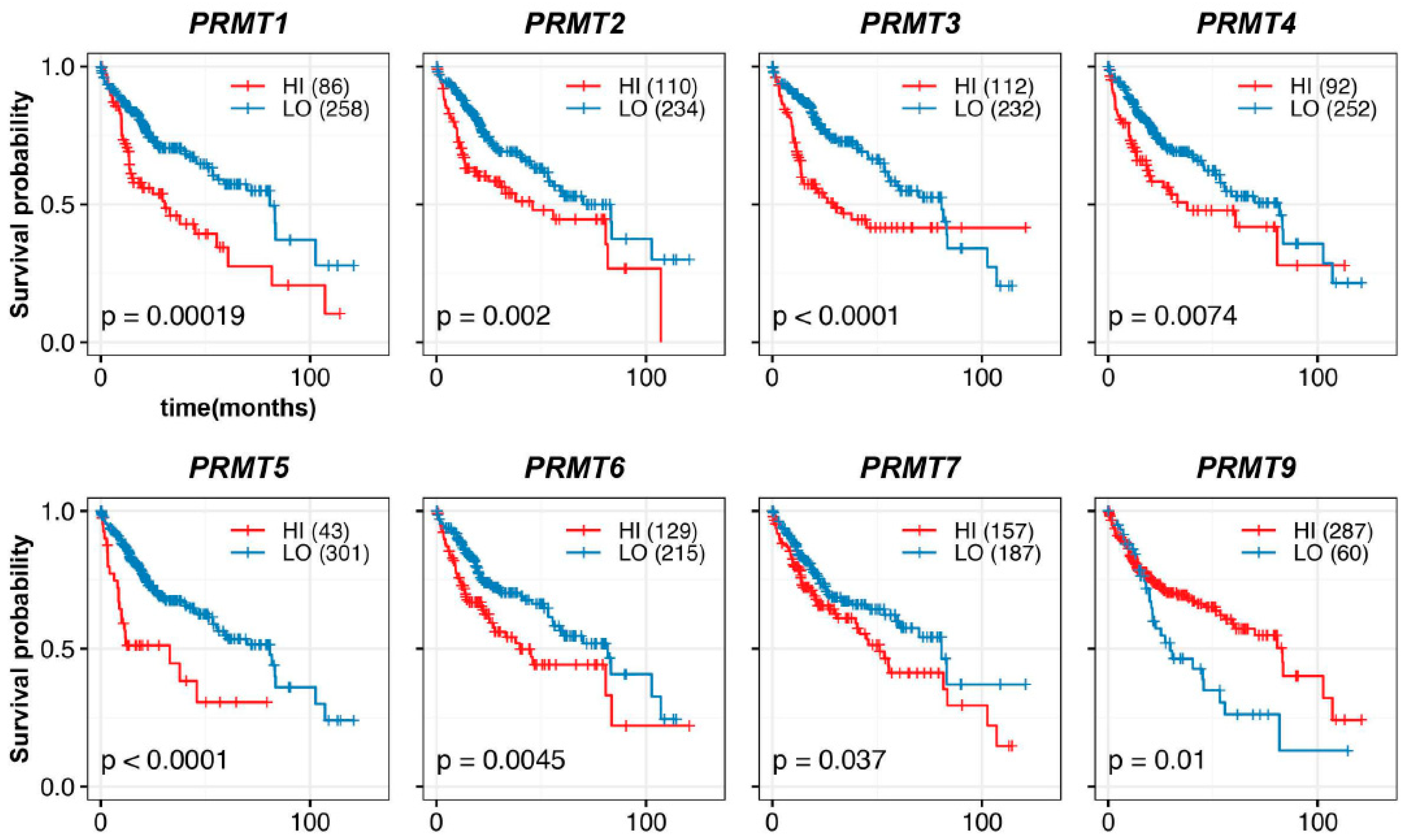 Cancers 15 04183 g003