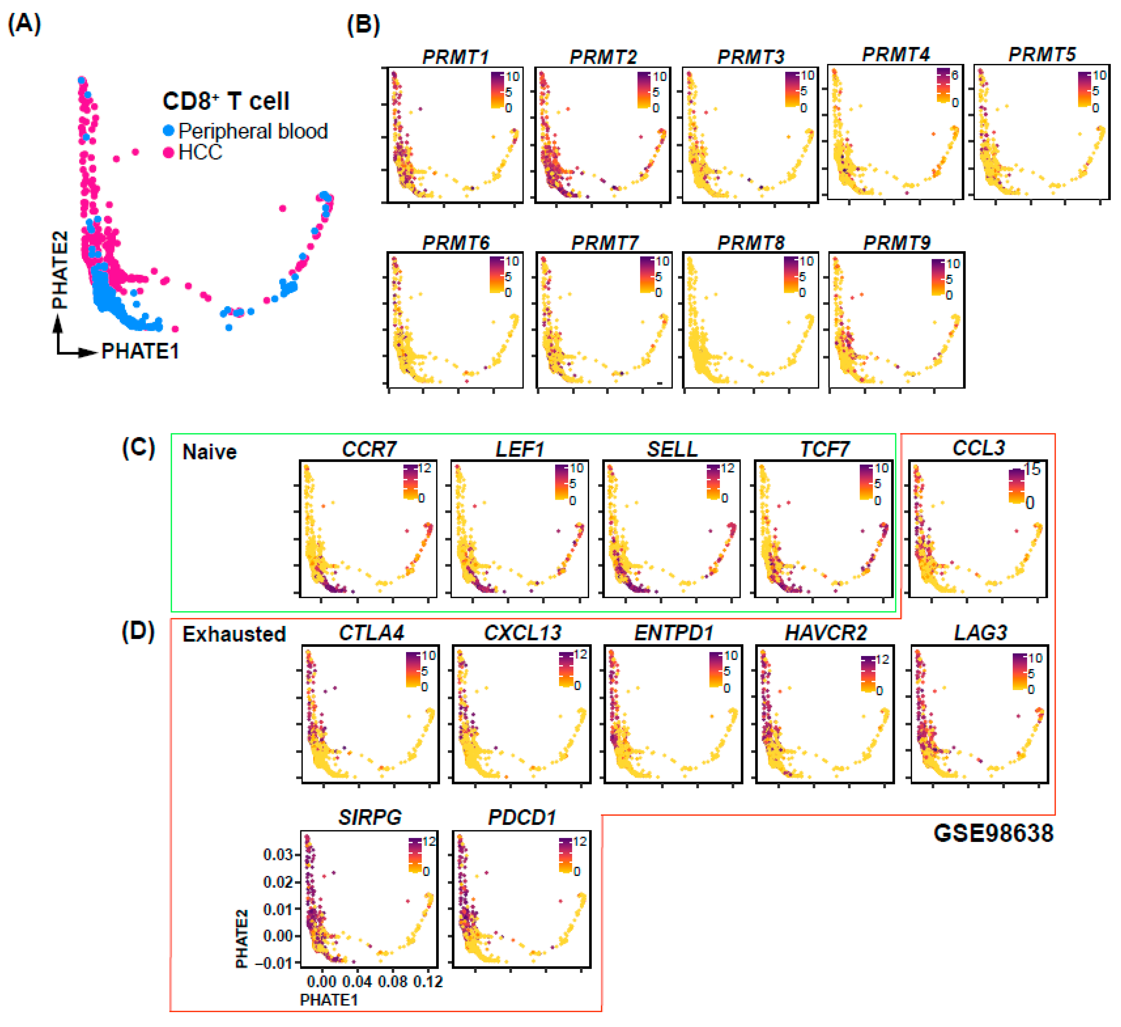 Cancers 15 04183 g007