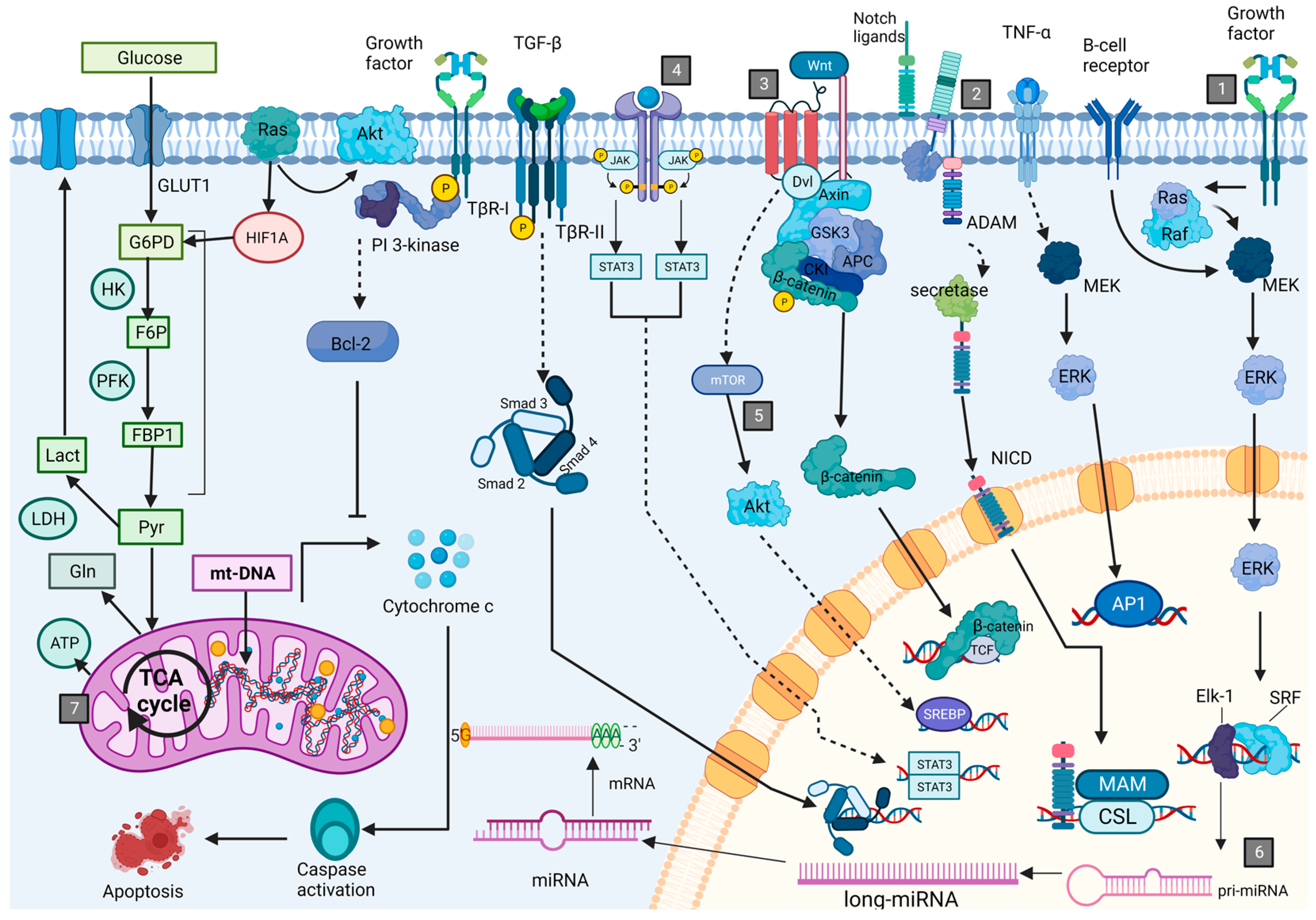 Cancers 15 04186 g002 Cancers 15 04186 g002