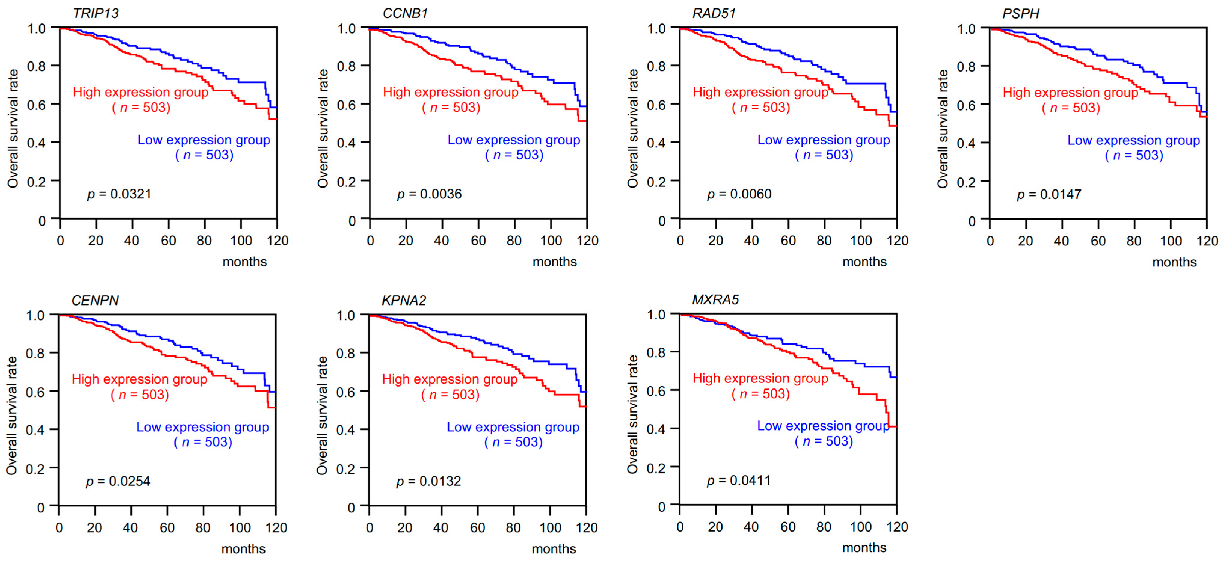 Cancers 15 04189 g005