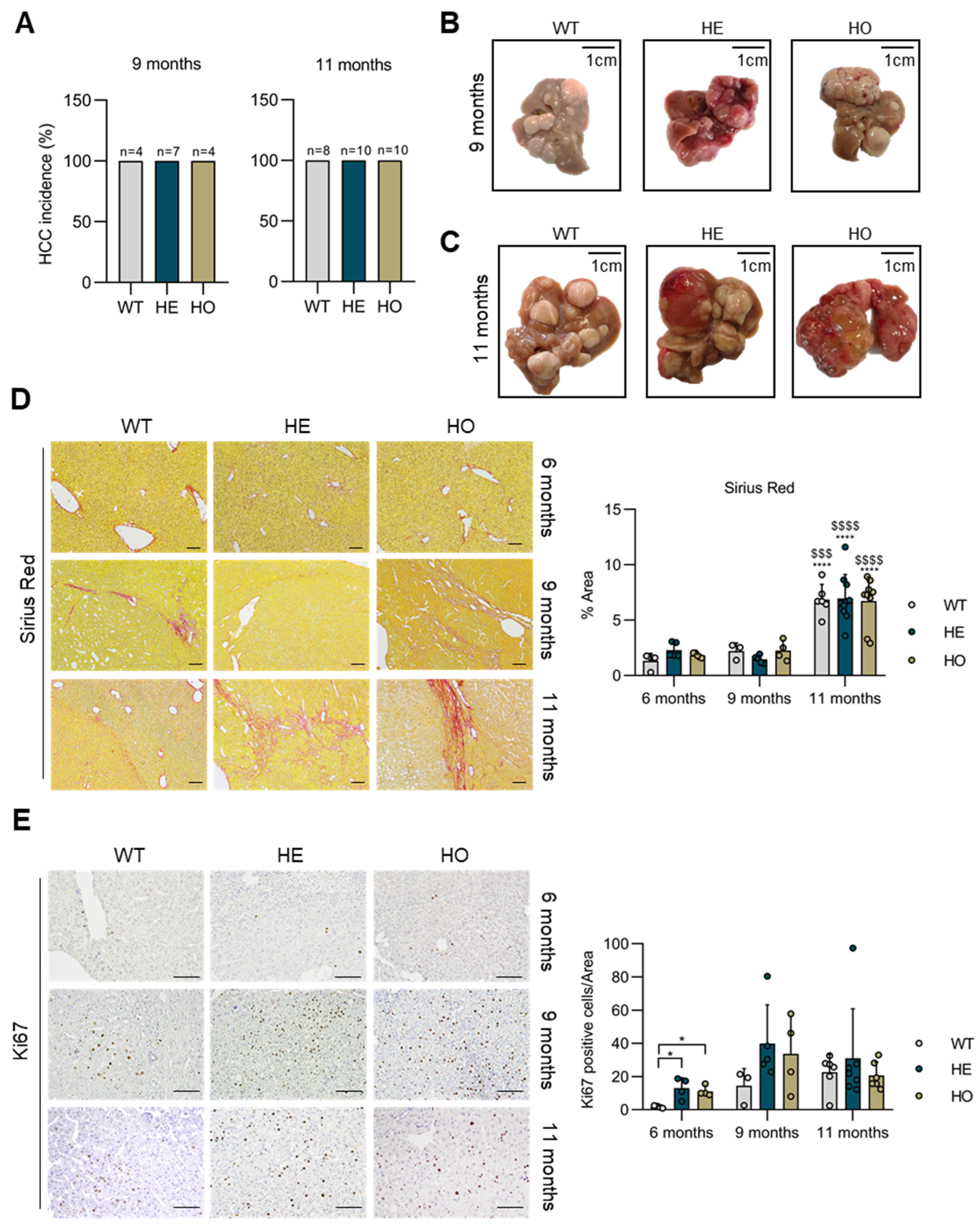 Cancers 15 04193 g003 Cancers 15 04193 g003