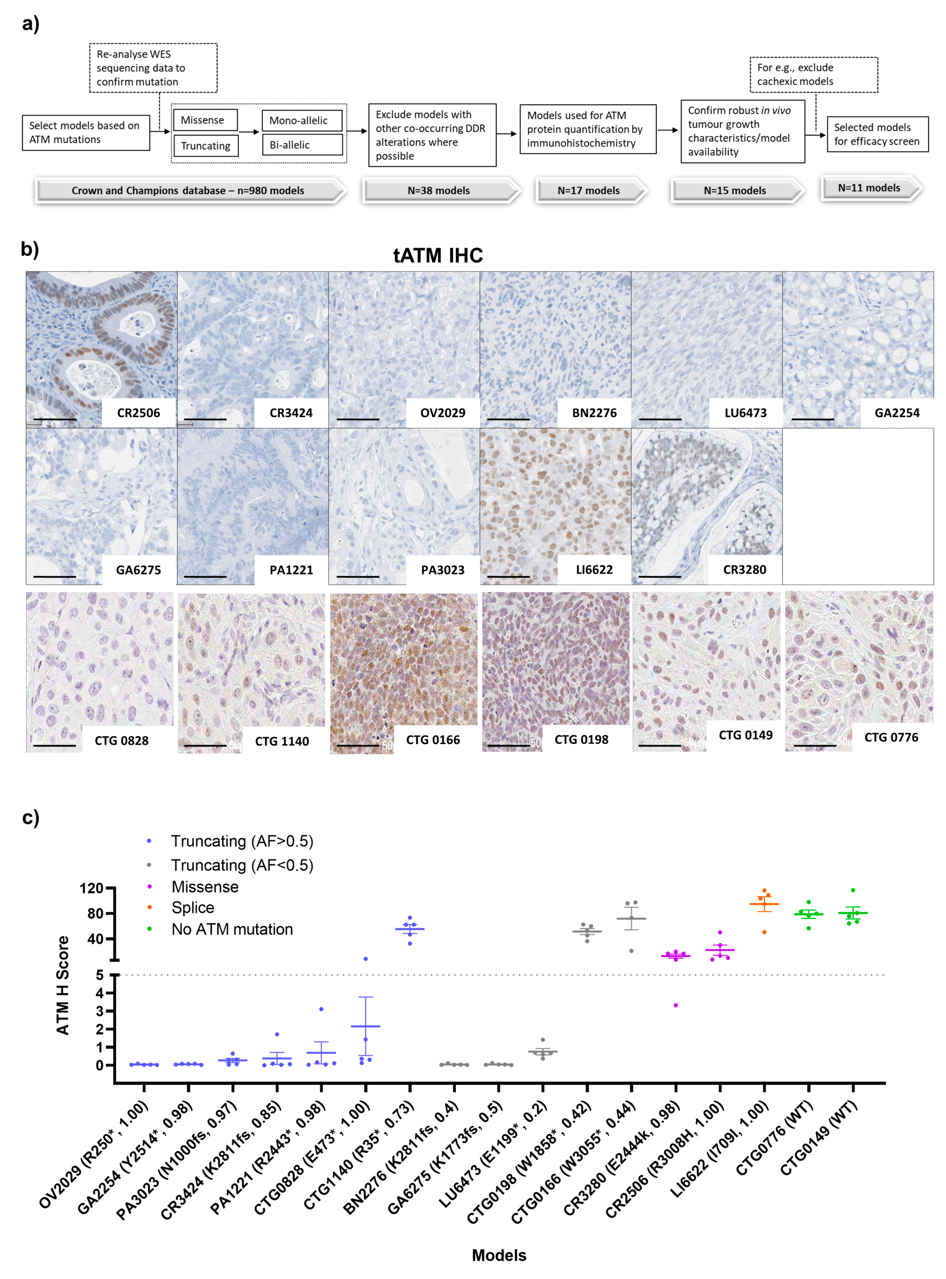 Cancers 15 04195 g001