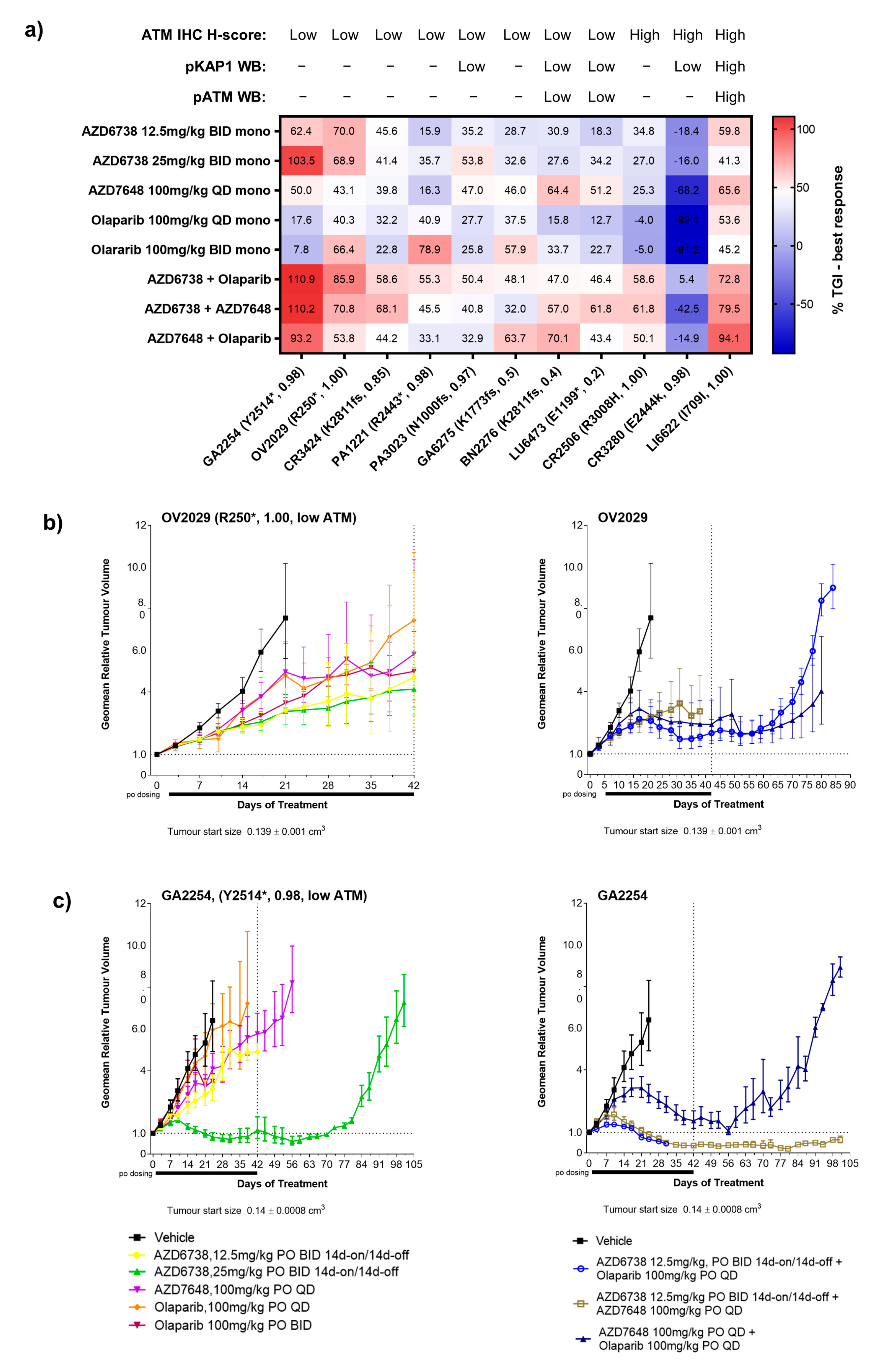 Cancers 15 04195 g003