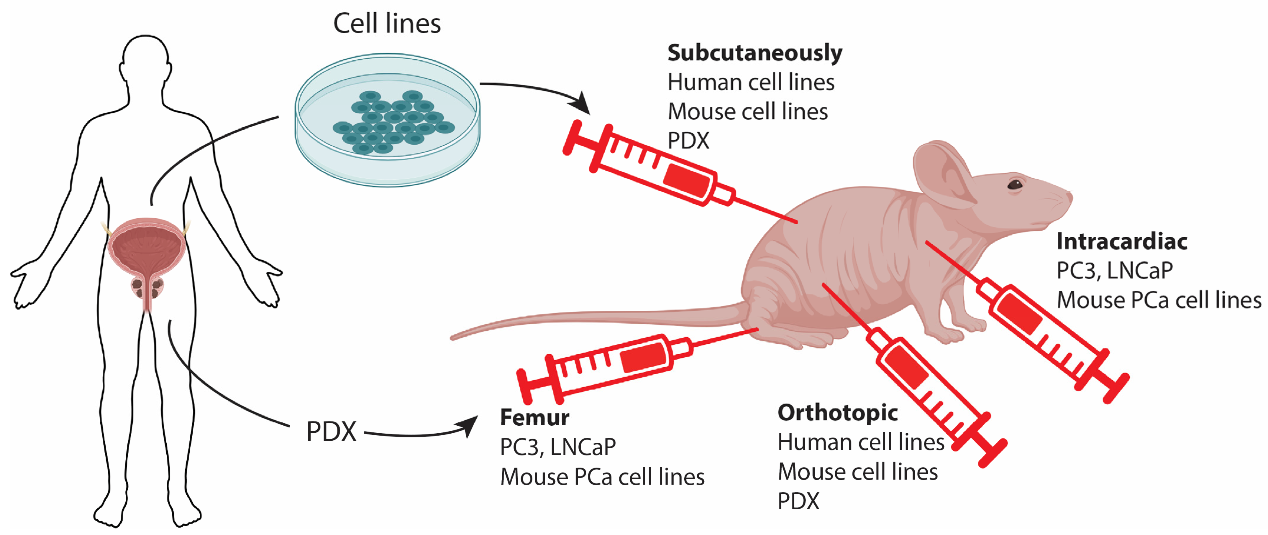 Cancers 15 04212 g002 Cancers 15 04212 g002