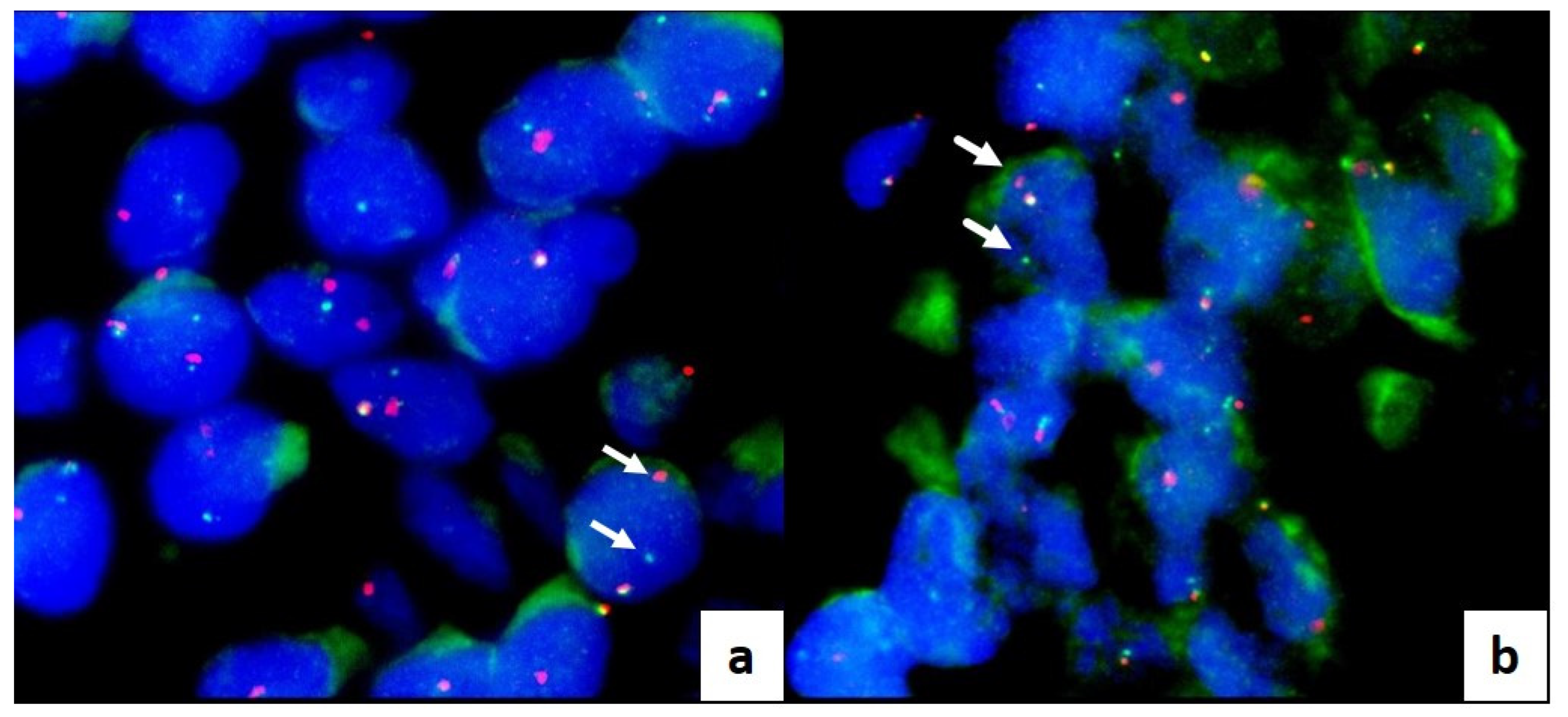 Cancers 15 04215 g003