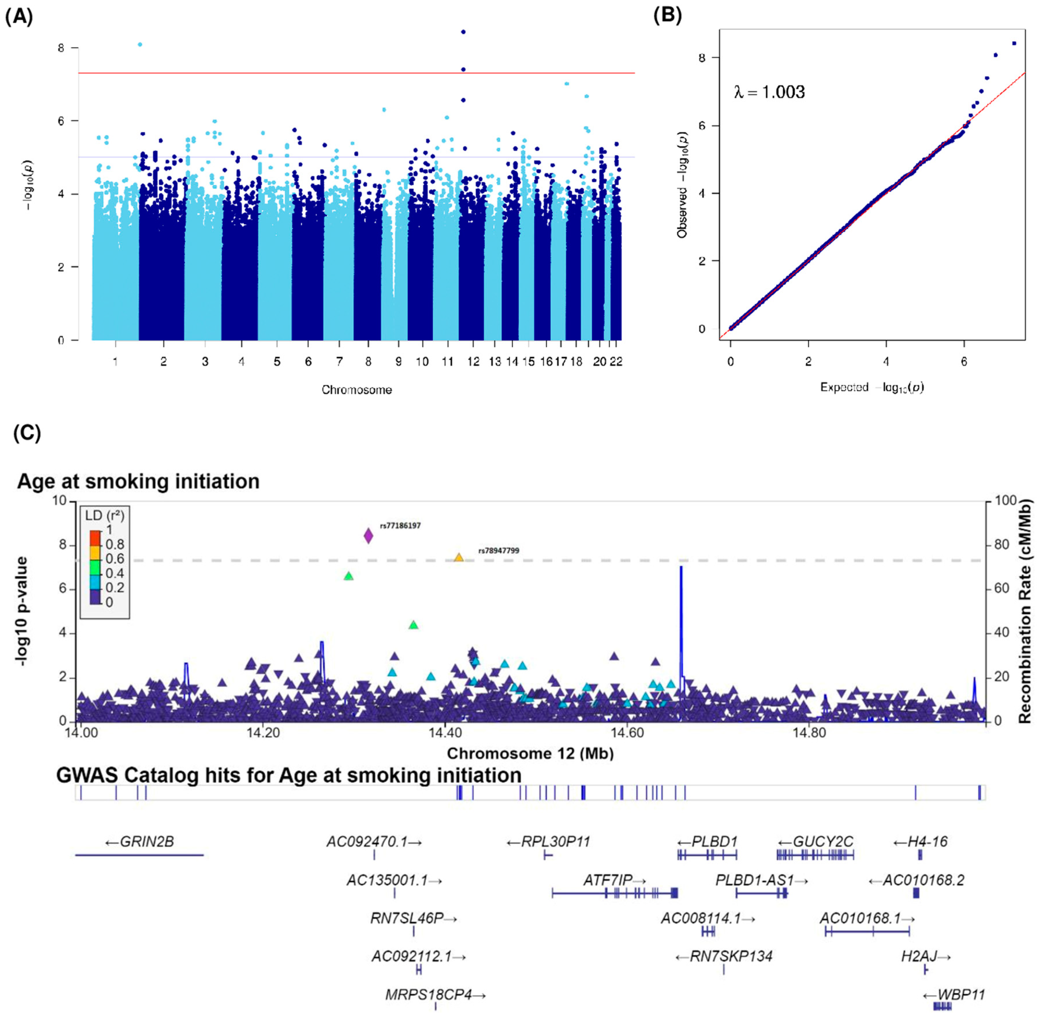 Cancers 15 04218 g003 Cancers 15 04218 g003