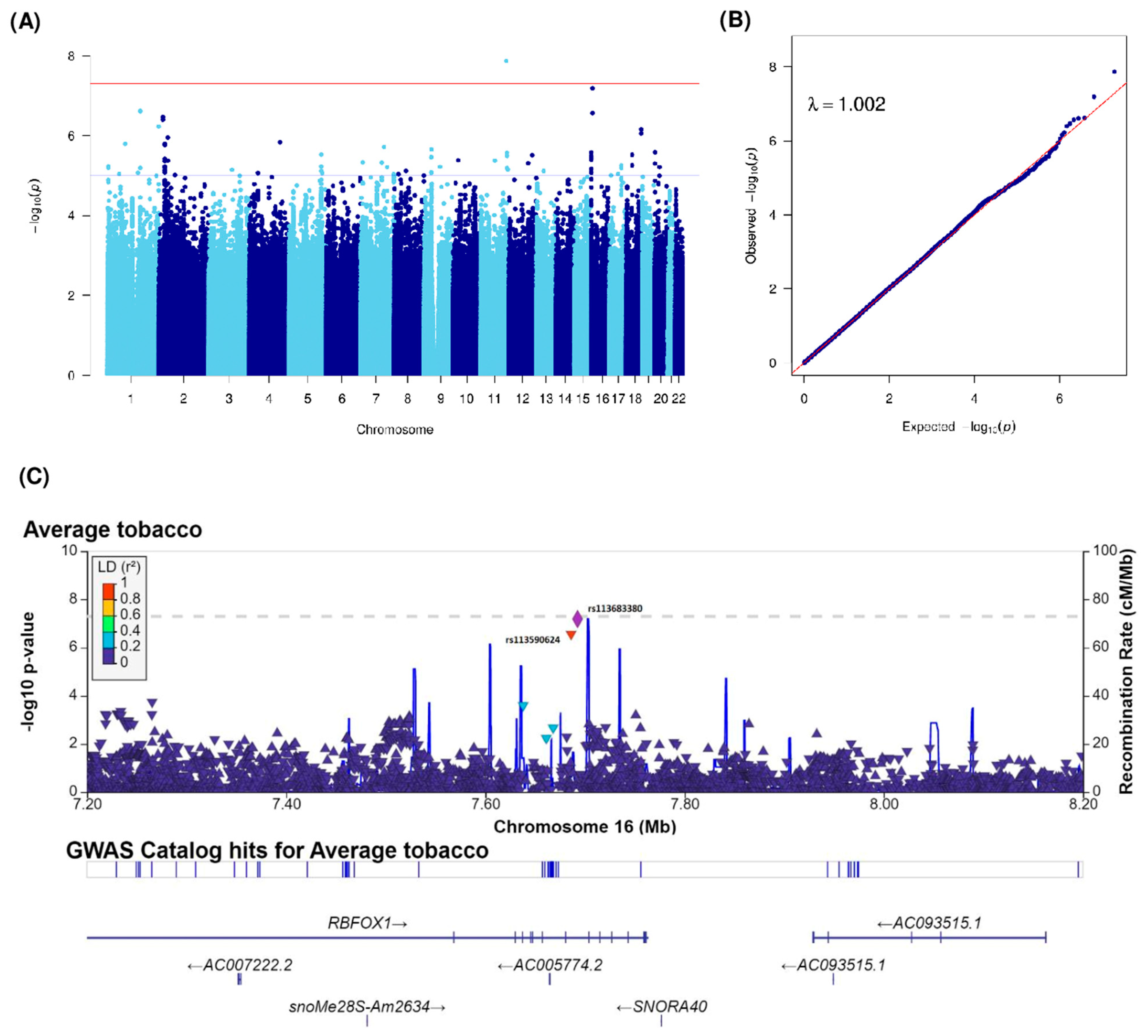 Cancers 15 04218 g004 Cancers 15 04218 g004