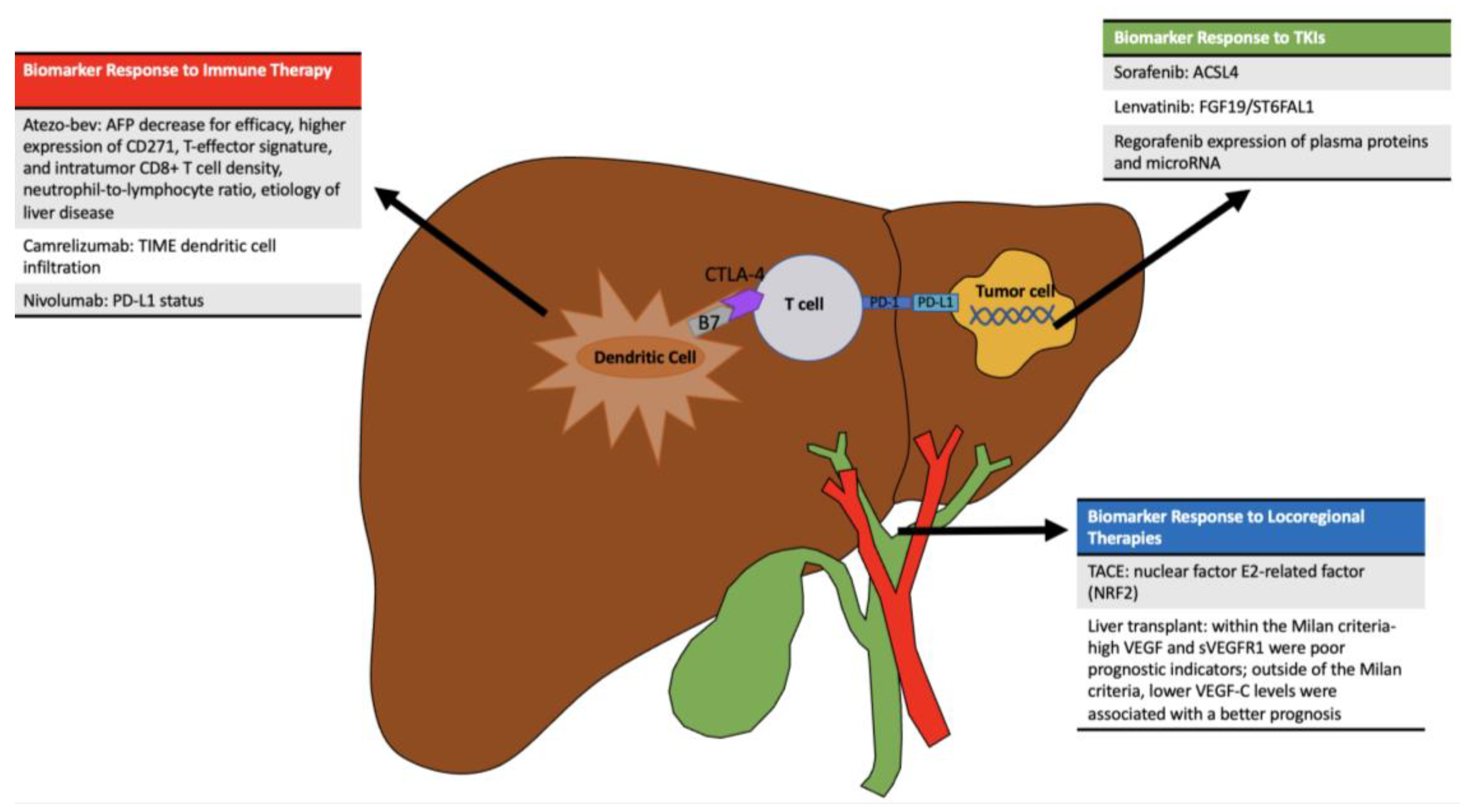 Cancers 15 04221 g002