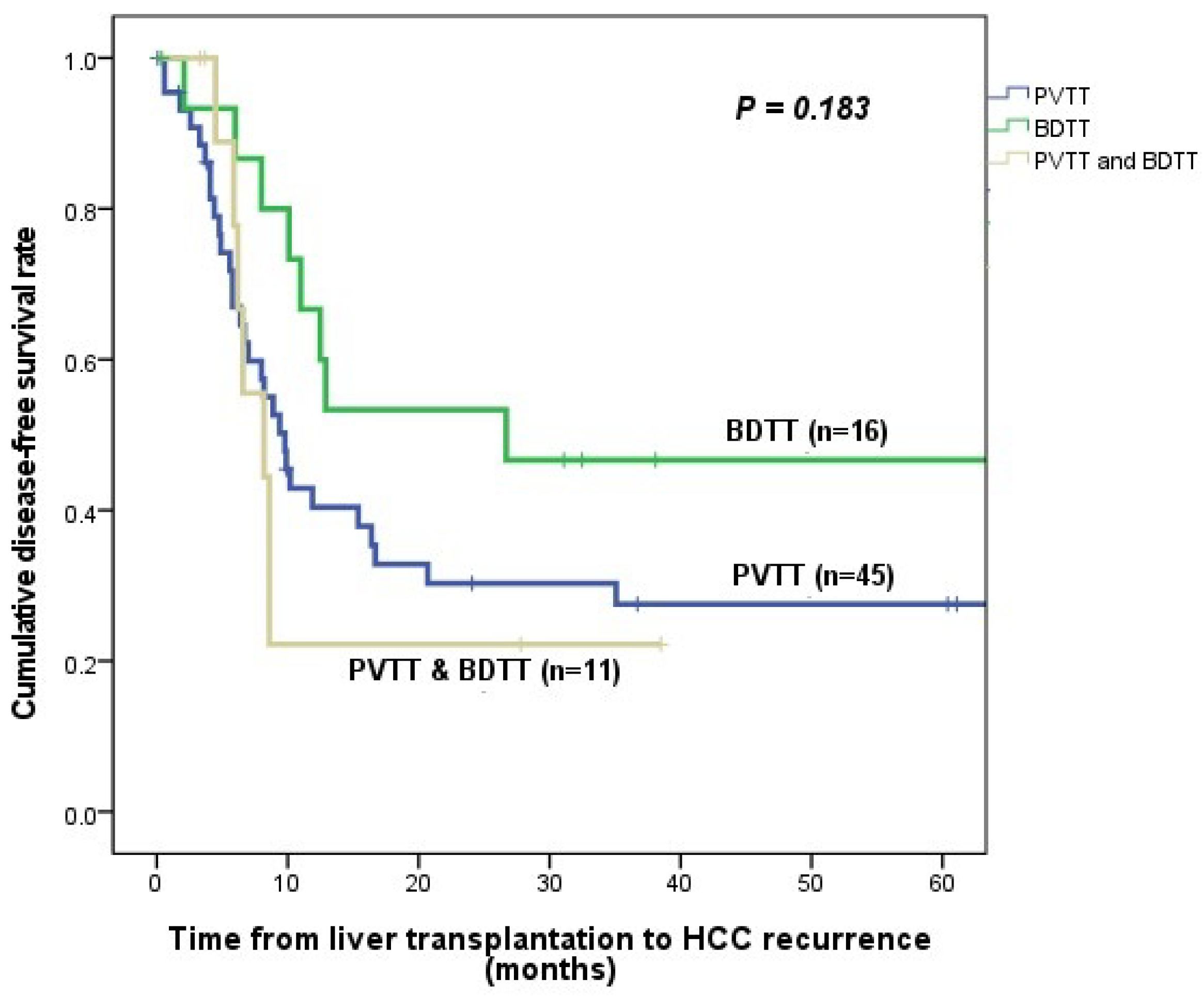 Cancers 15 04225 g001