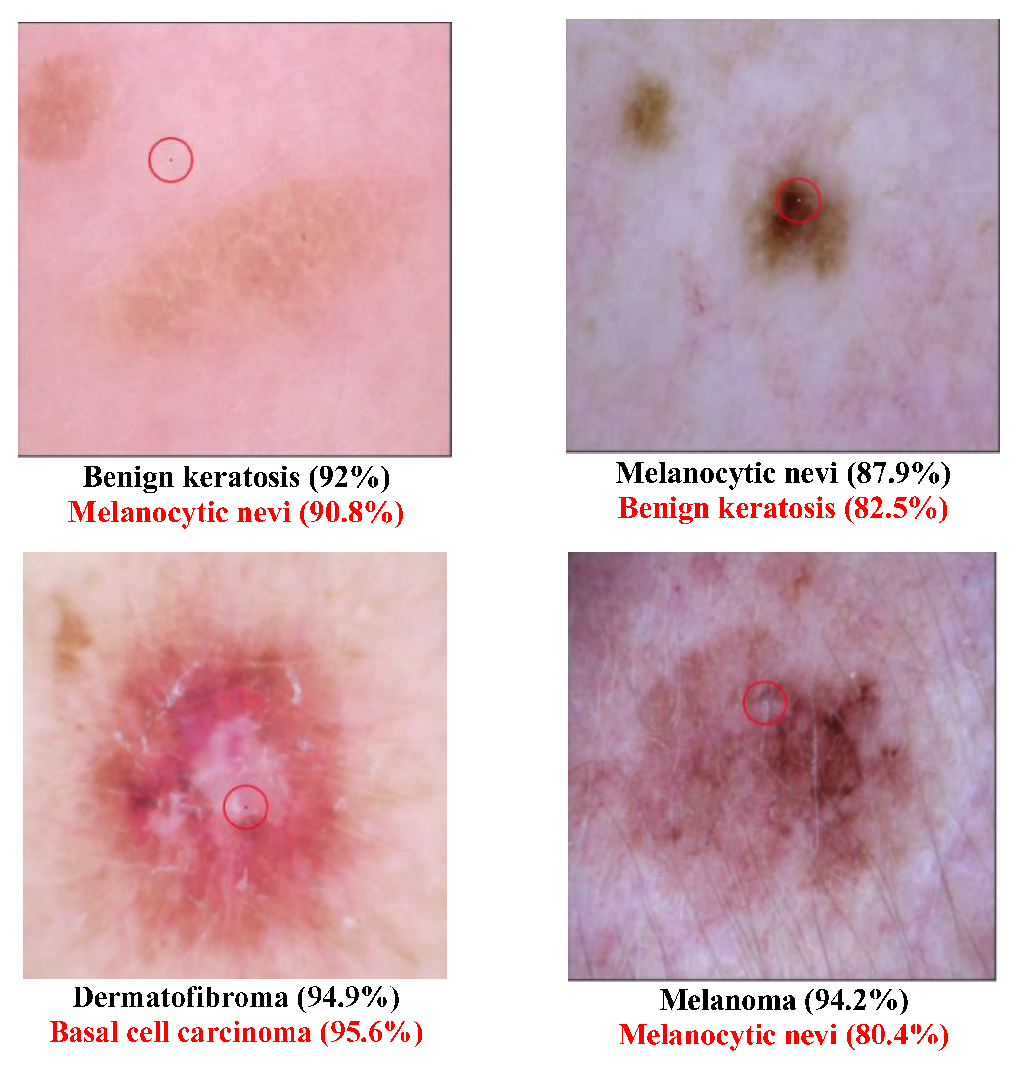 Cancers 15 04228 g002