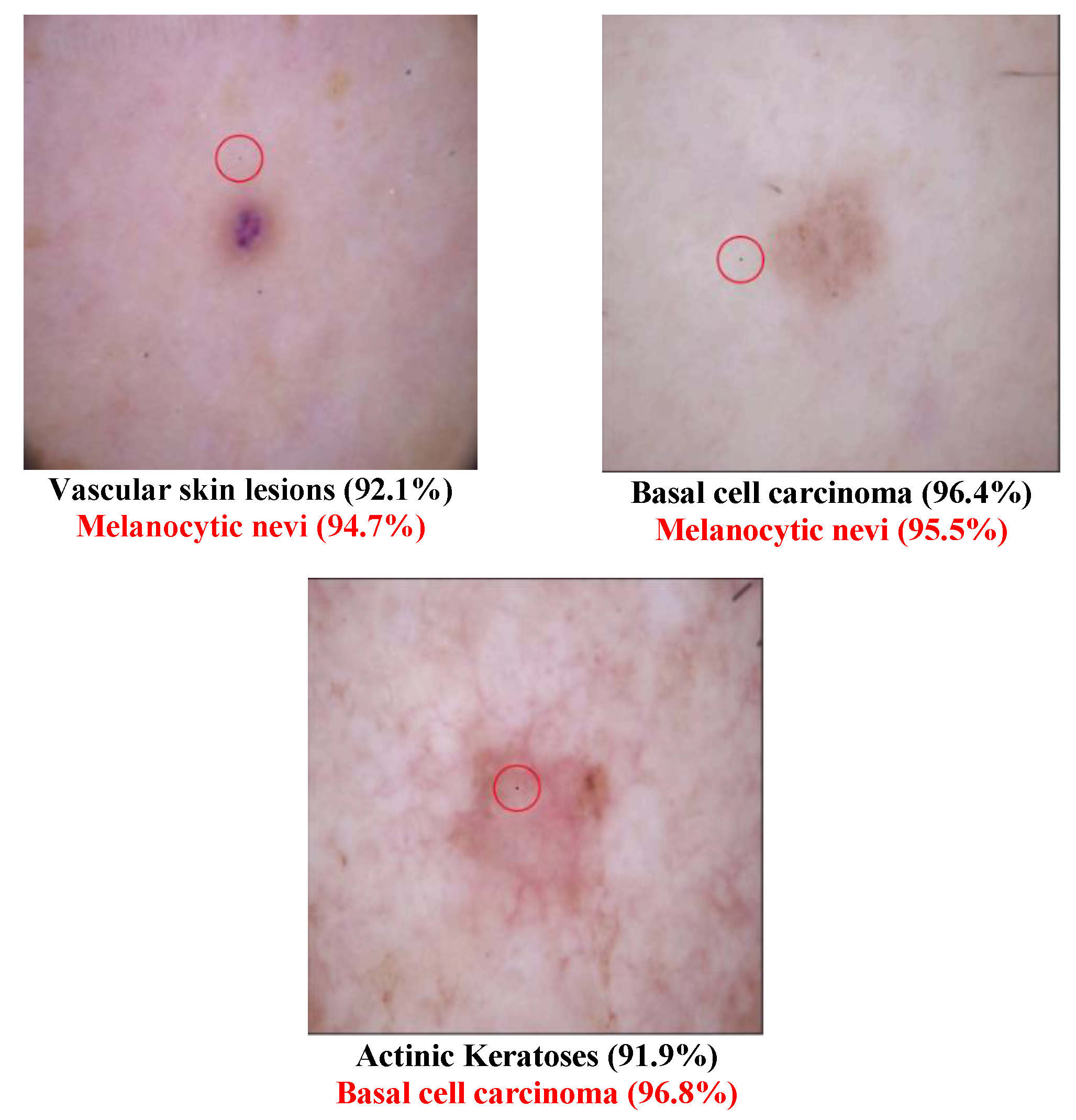 Cancers 15 04228 g003