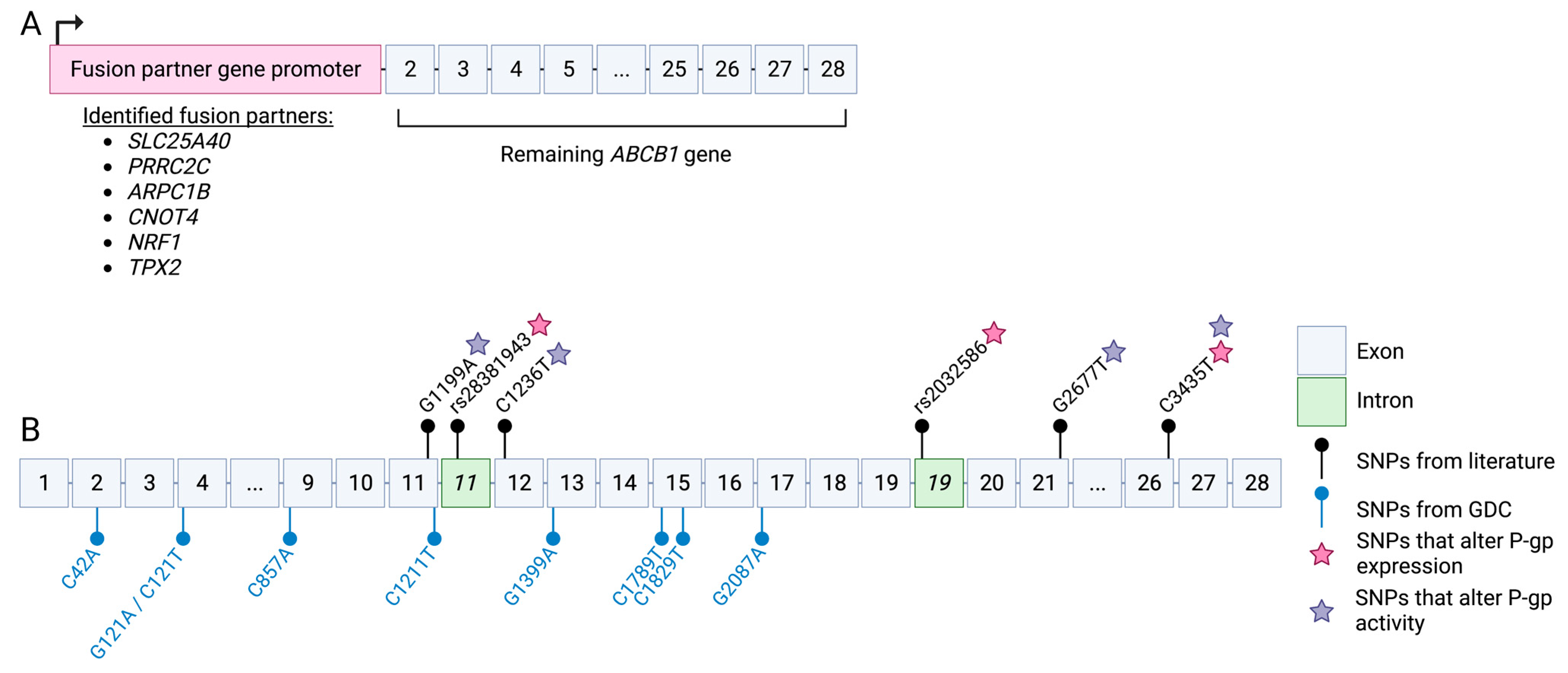 Cancers 15 04236 g004 Cancers 15 04236 g004