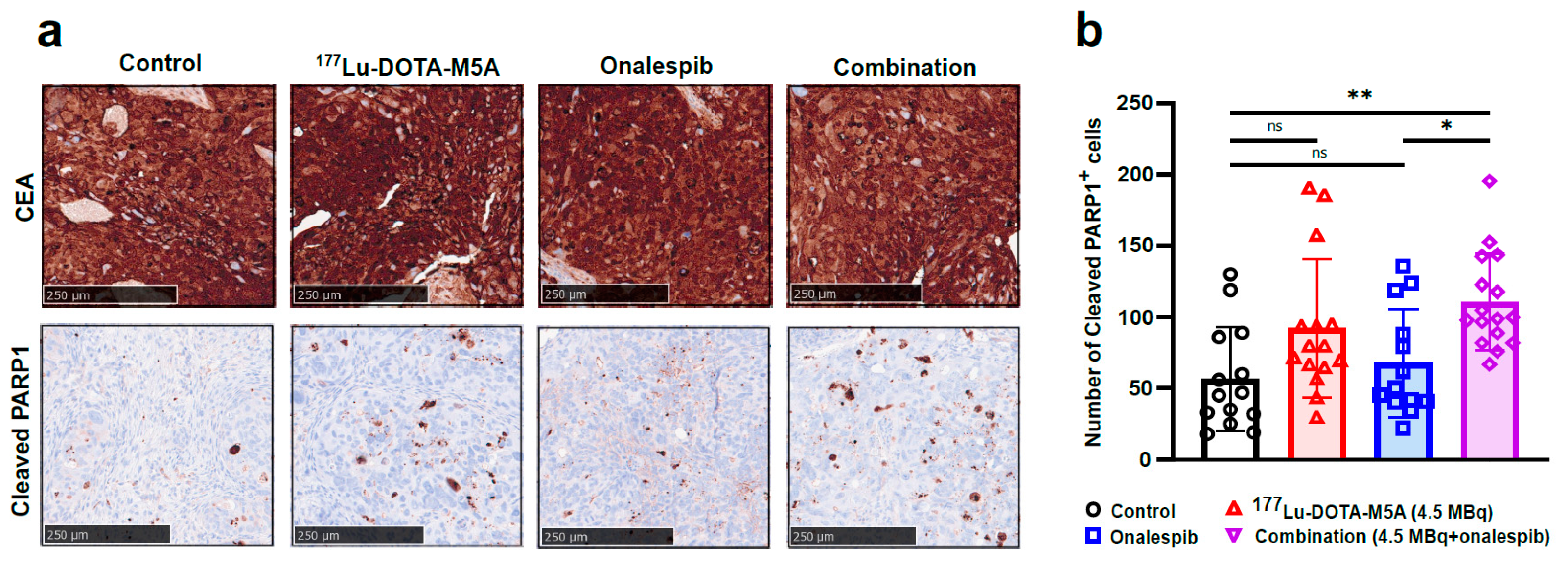 Cancers 15 04239 g004 Cancers 15 04239 g004