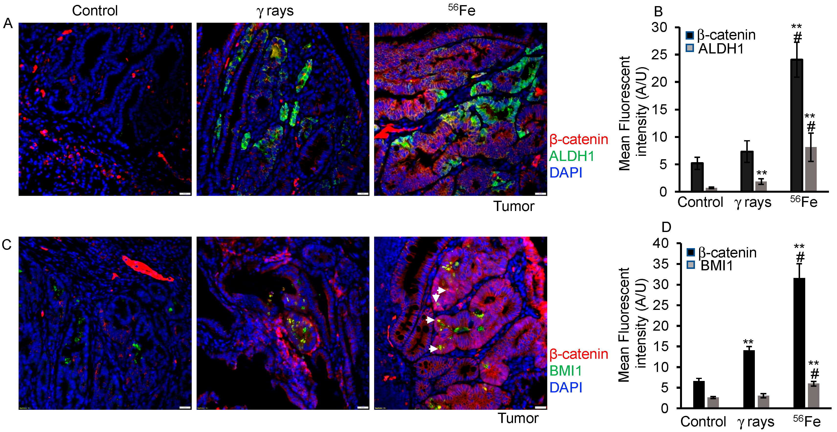 Cancers 15 04240 g005 Cancers 15 04240 g005