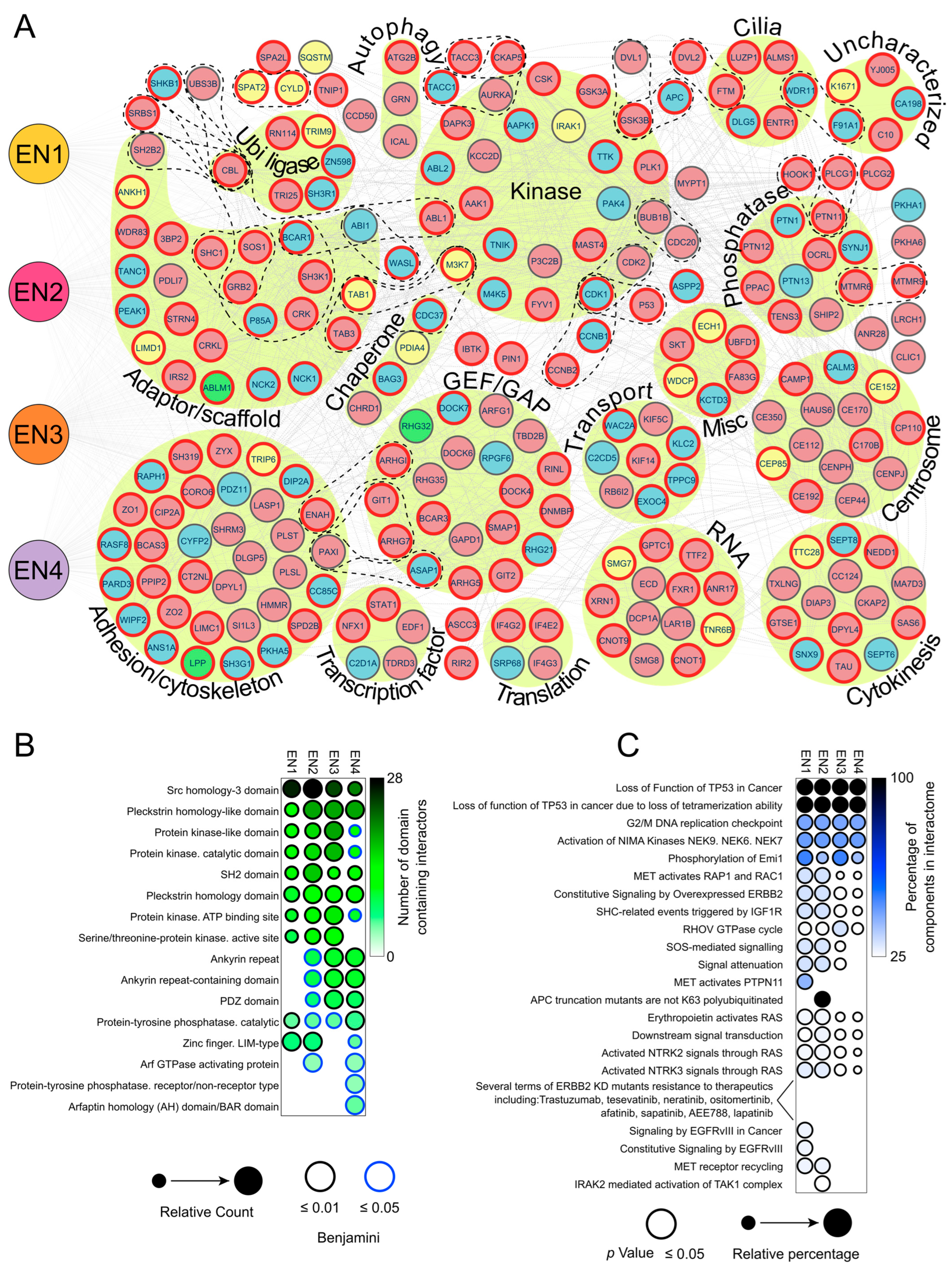 Cancers 15 04246 g003 Cancers 15 04246 g003