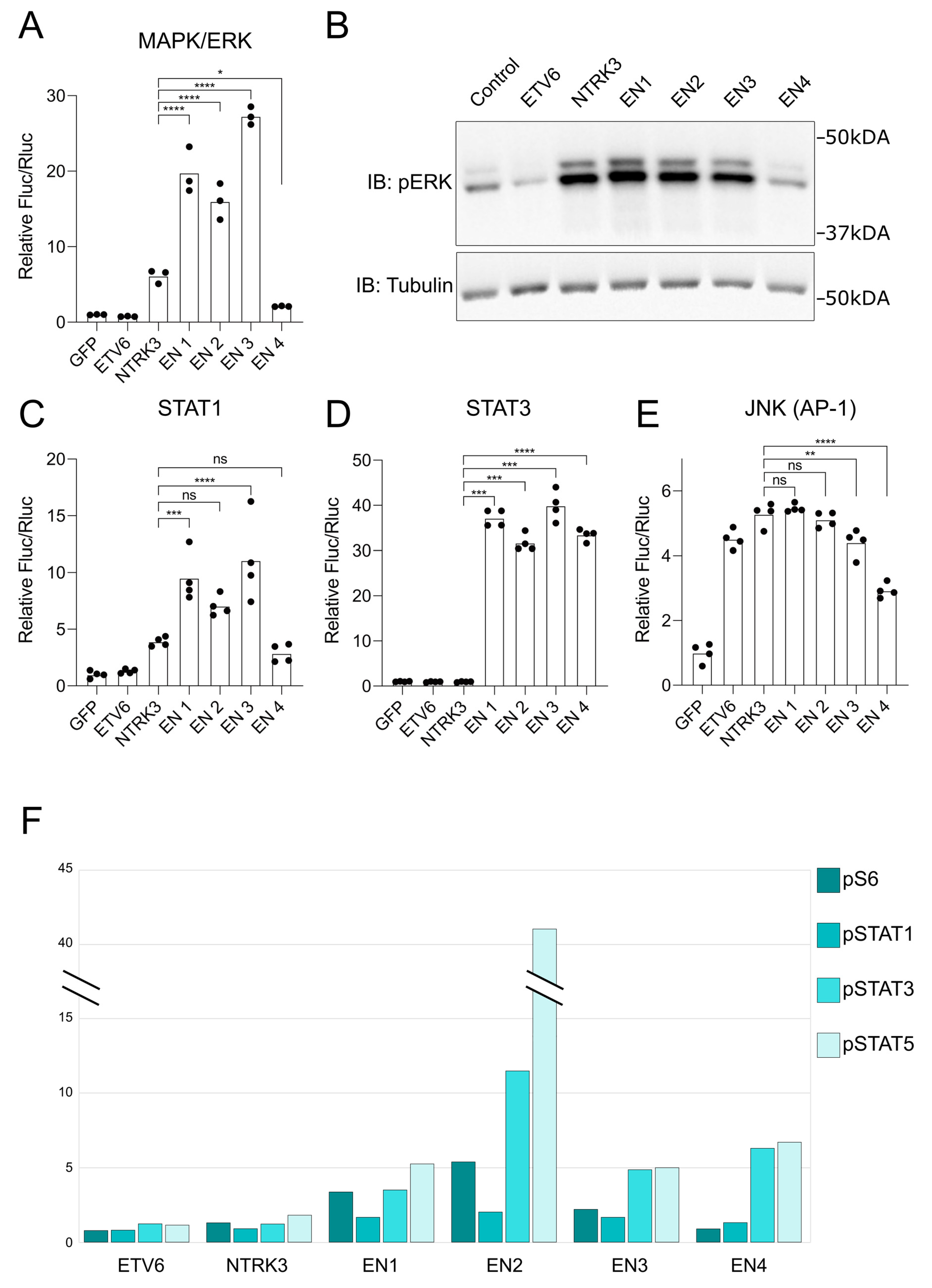 Cancers 15 04246 g004 Cancers 15 04246 g004