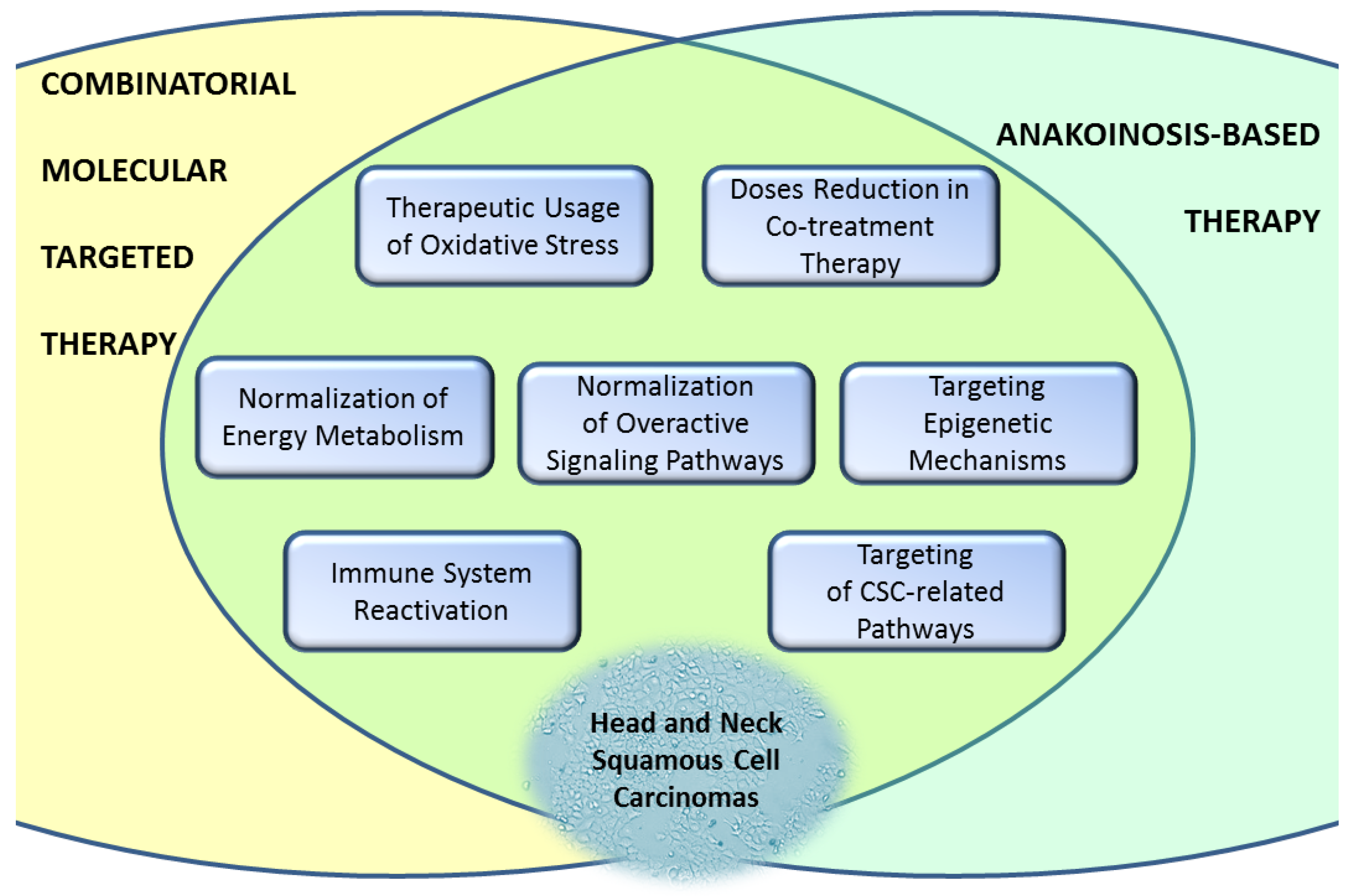 Cancers 15 04247 g003 Cancers 15 04247 g003