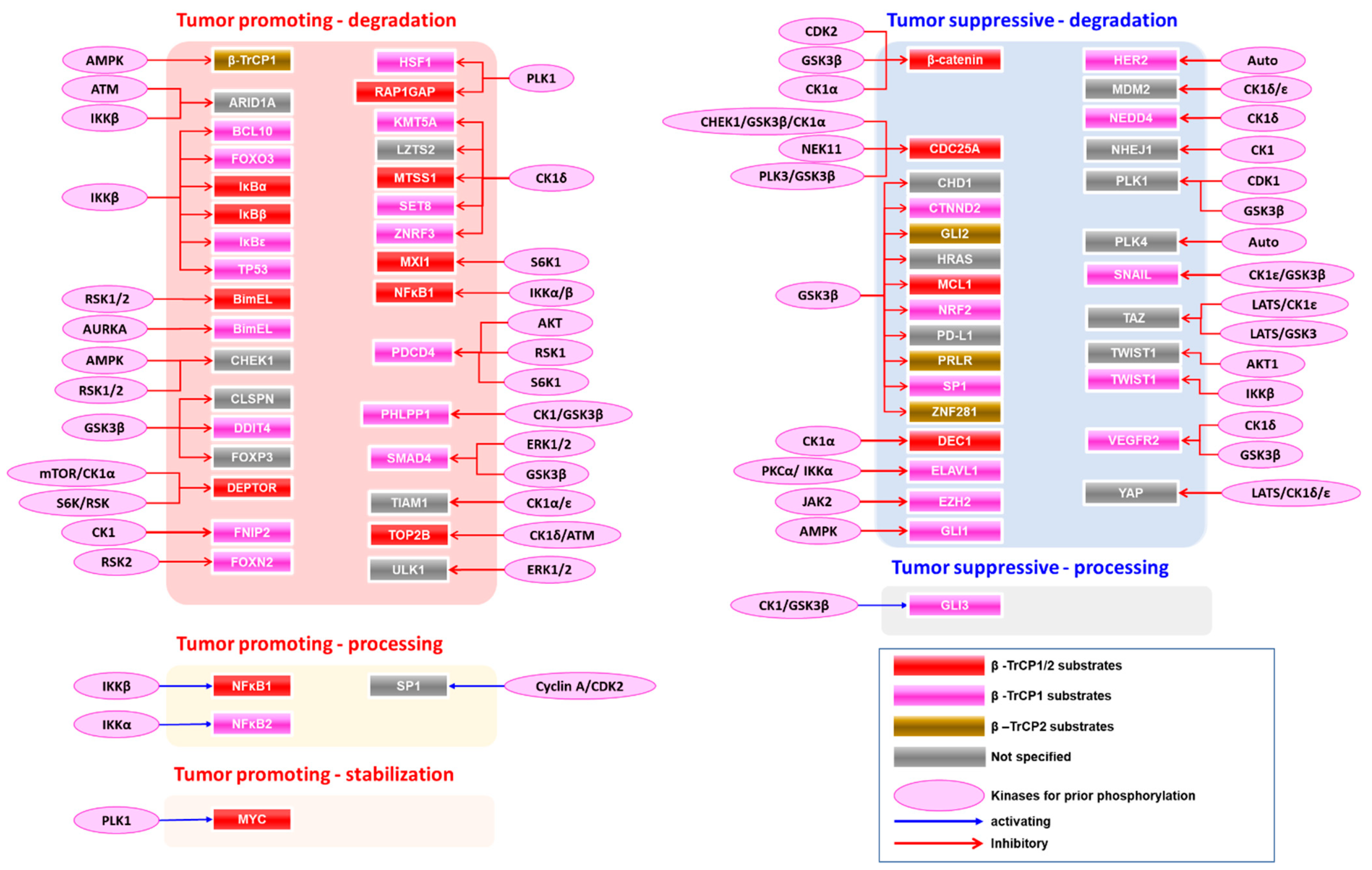 Cancers 15 04248 g002 Cancers 15 04248 g002