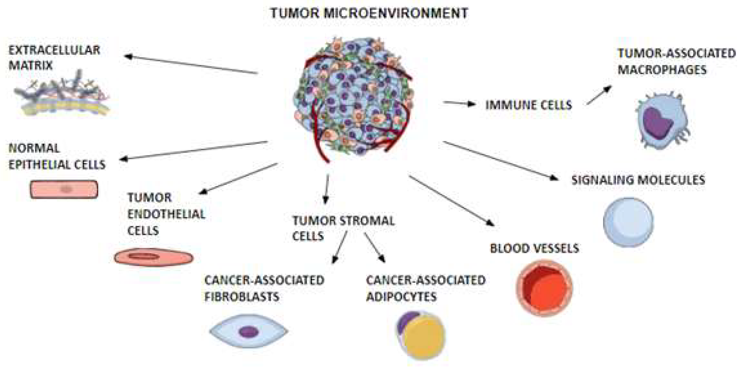Cancers | Free Full-Text | Role of Leptin and Adiponectin in Cancers | Free Full-Text | Role of Leptin and Adiponectin in