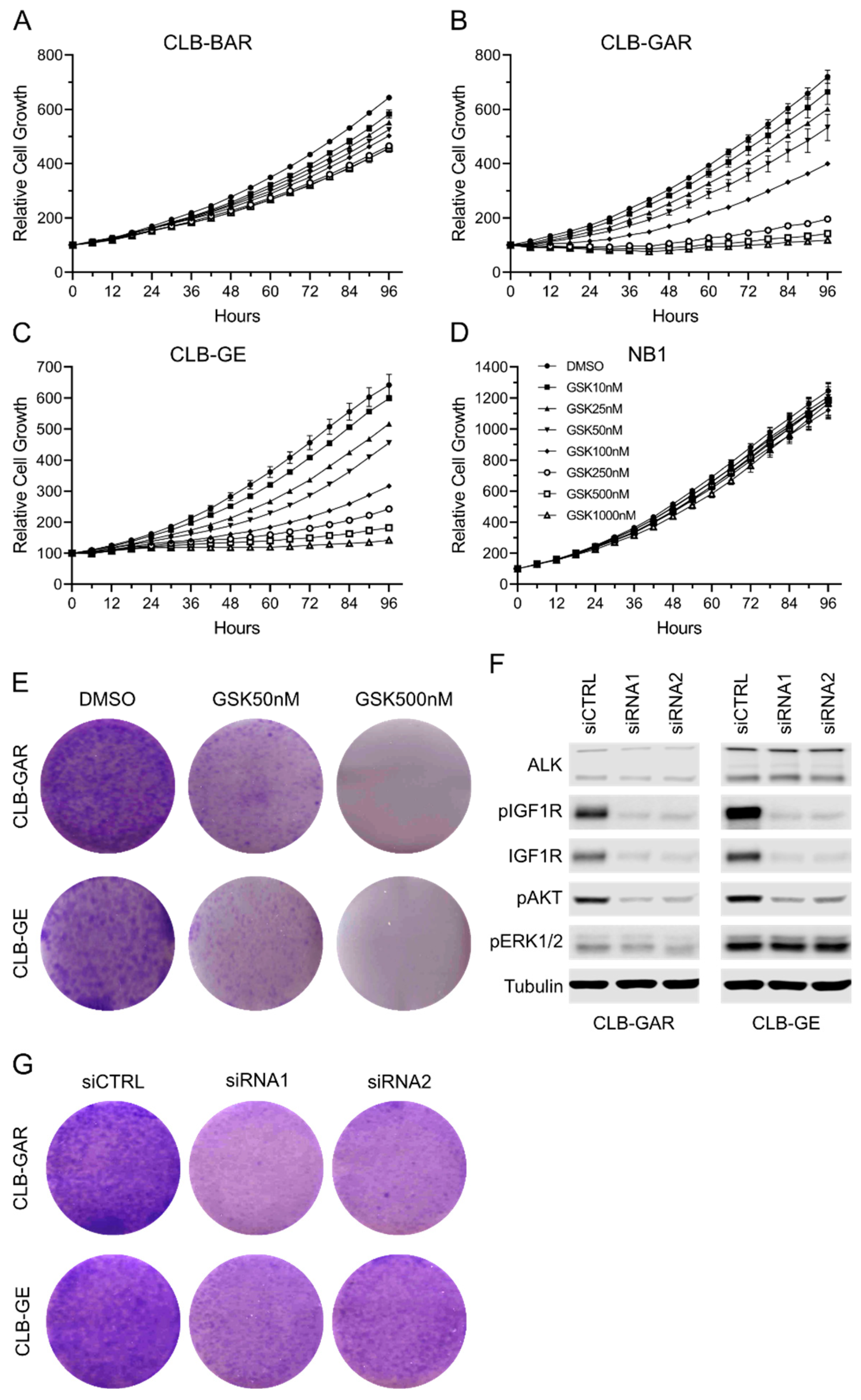 Cancers 15 04252 g002