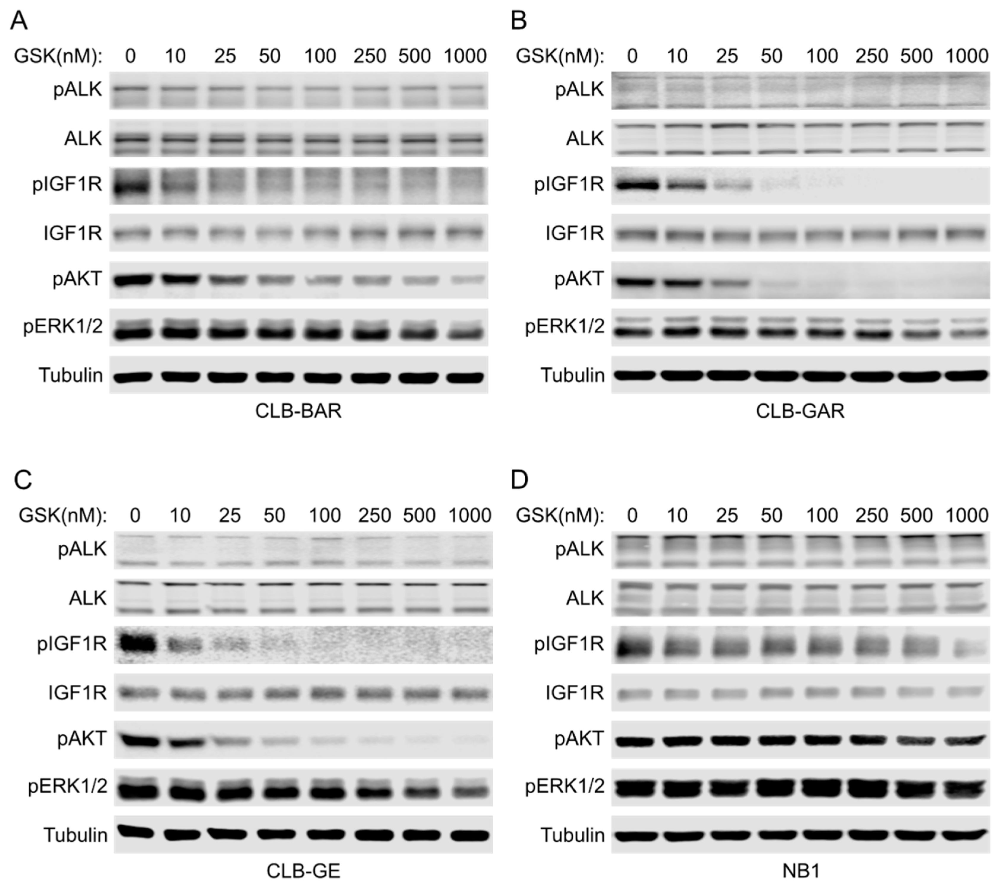 Cancers 15 04252 g003