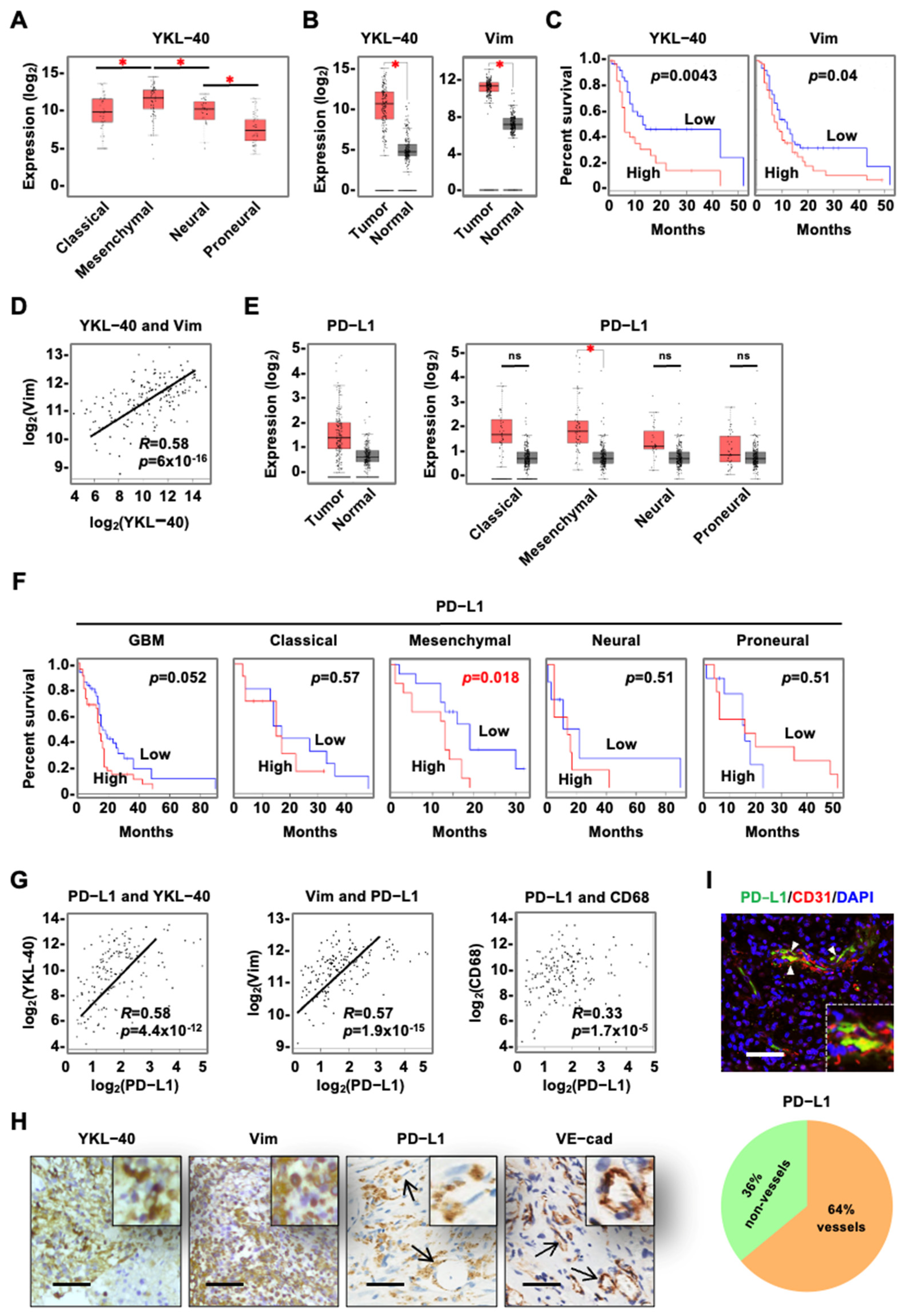 Cancers 15 04257 g001 Cancers 15 04257 g001