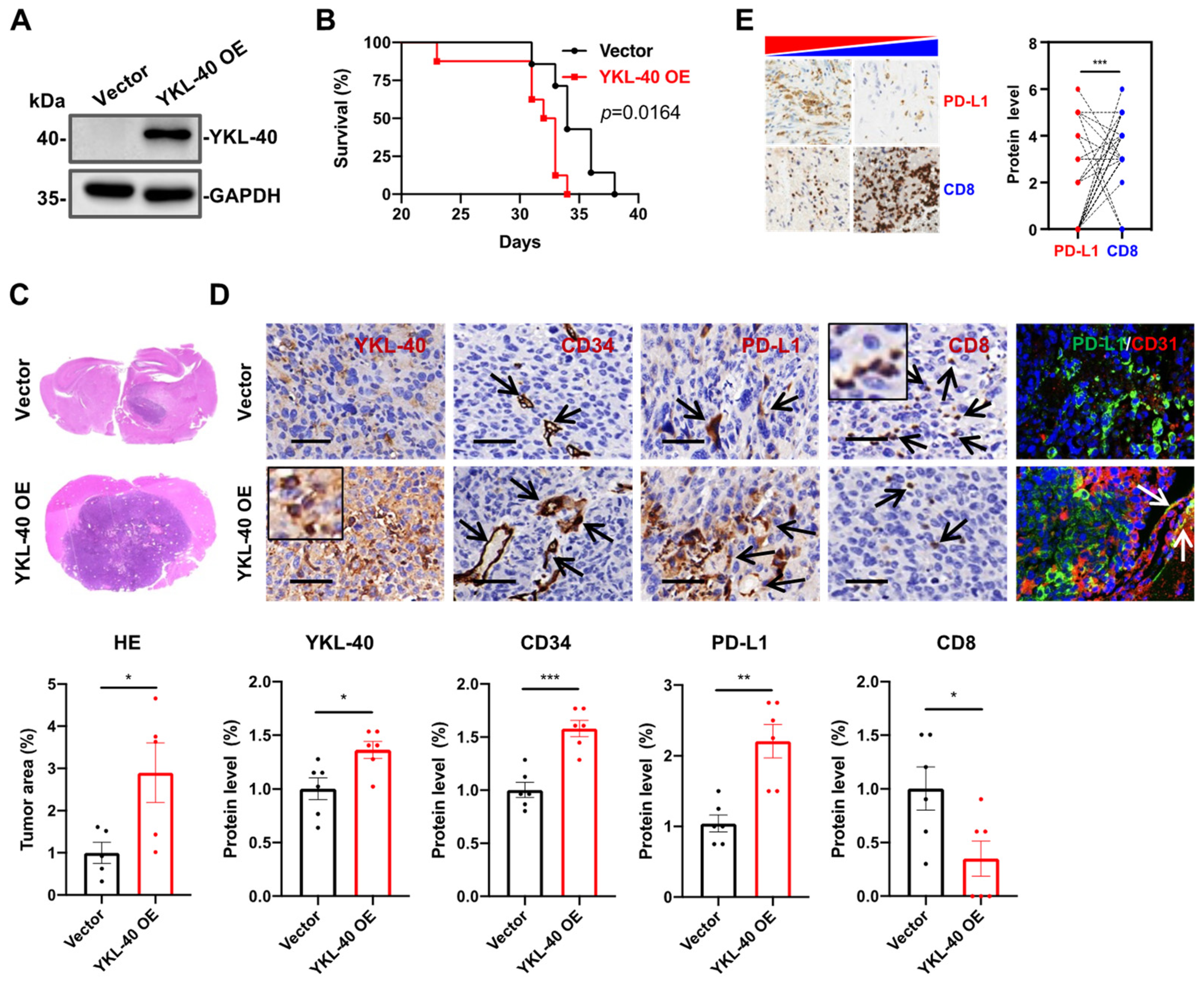 Cancers 15 04257 g002 Cancers 15 04257 g002