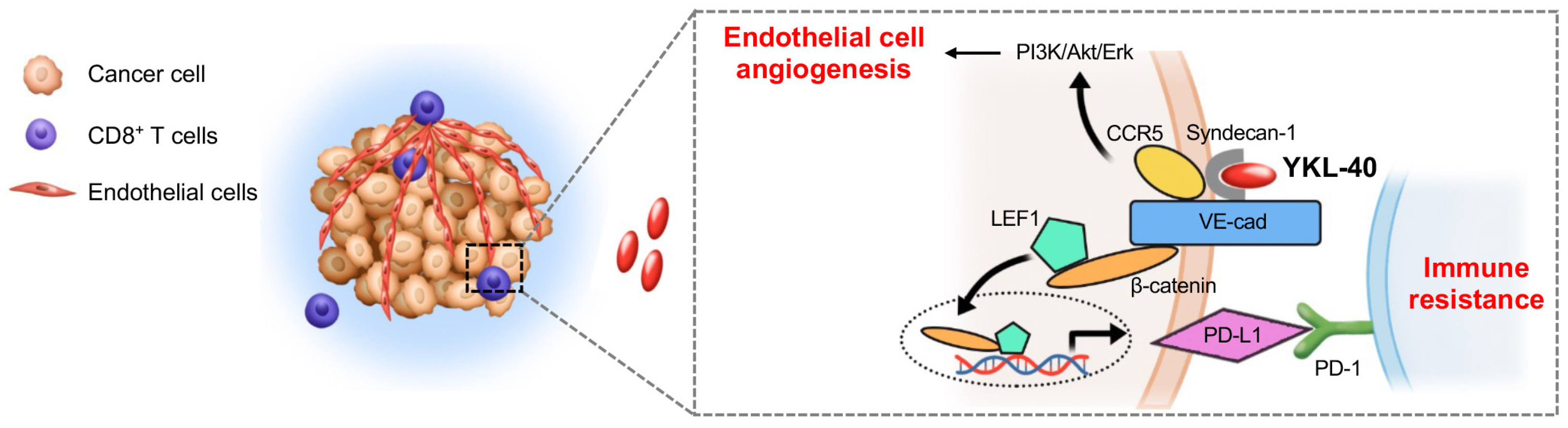 Cancers 15 04257 g007 Cancers 15 04257 g007