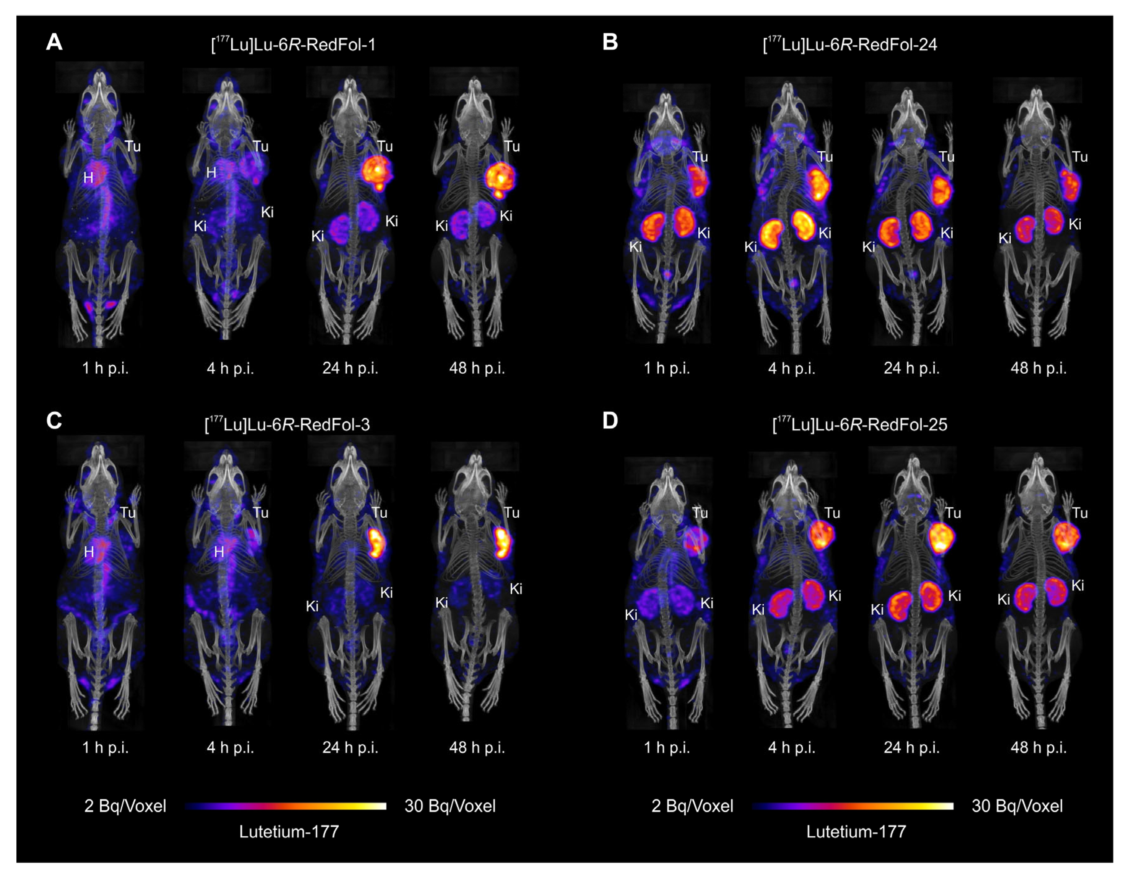 Cancers 15 04259 g005
