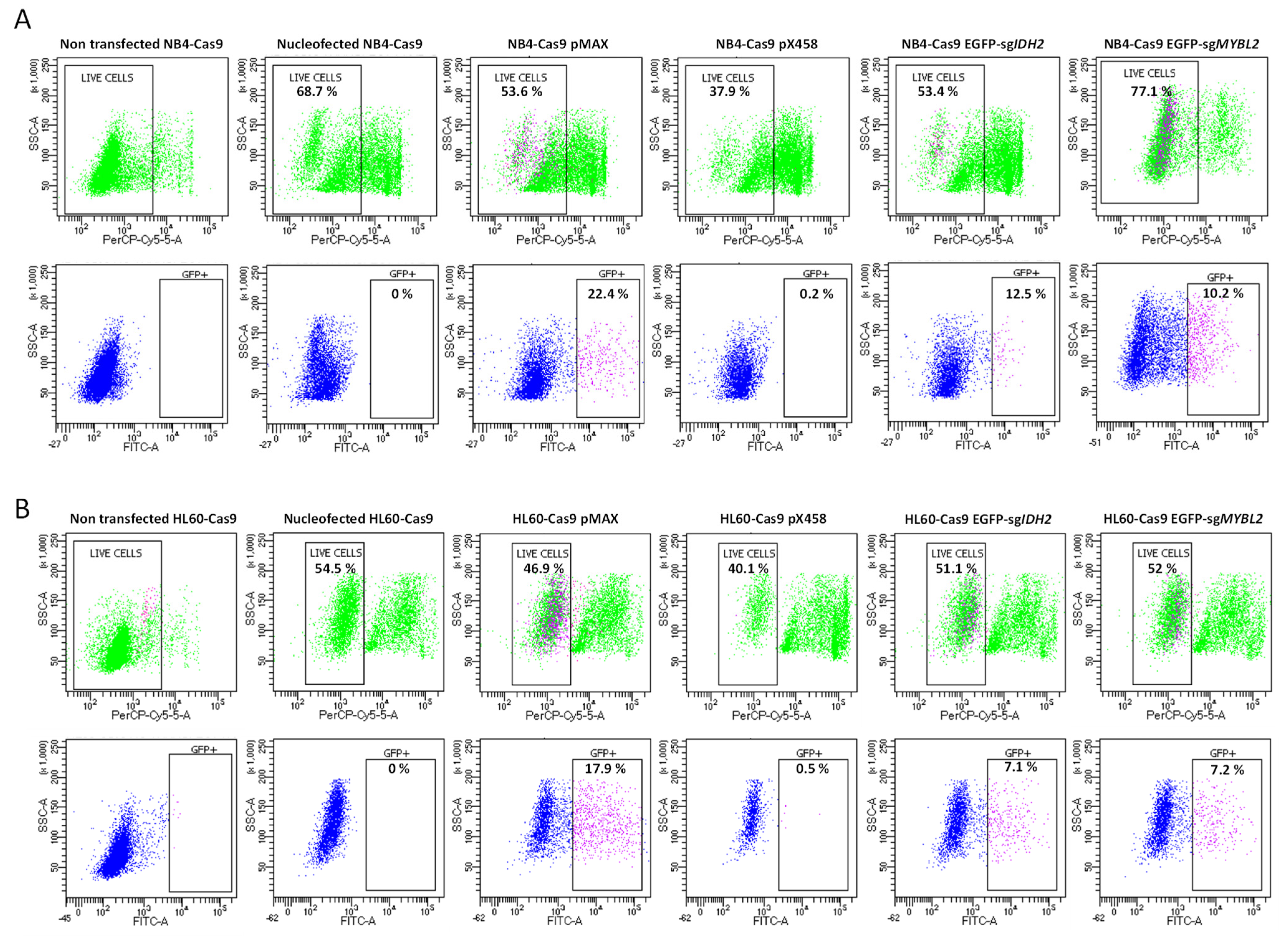 Cancers 15 04263 g004