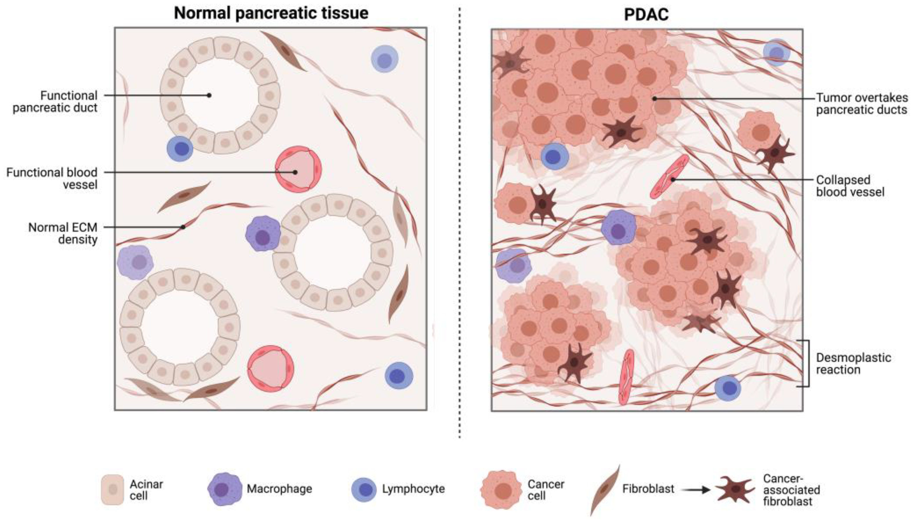 Cancers 15 04265 g001